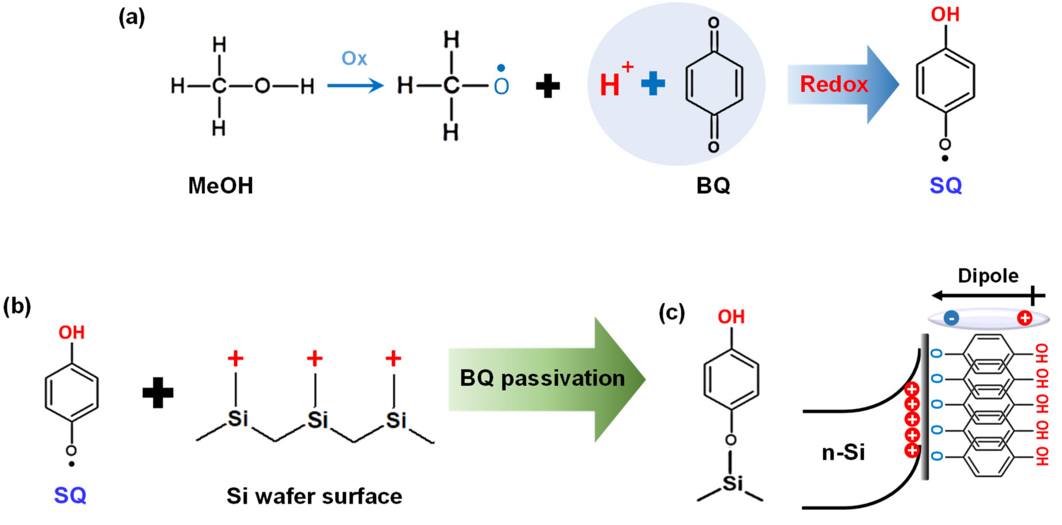 Polymers 14 00478 g008