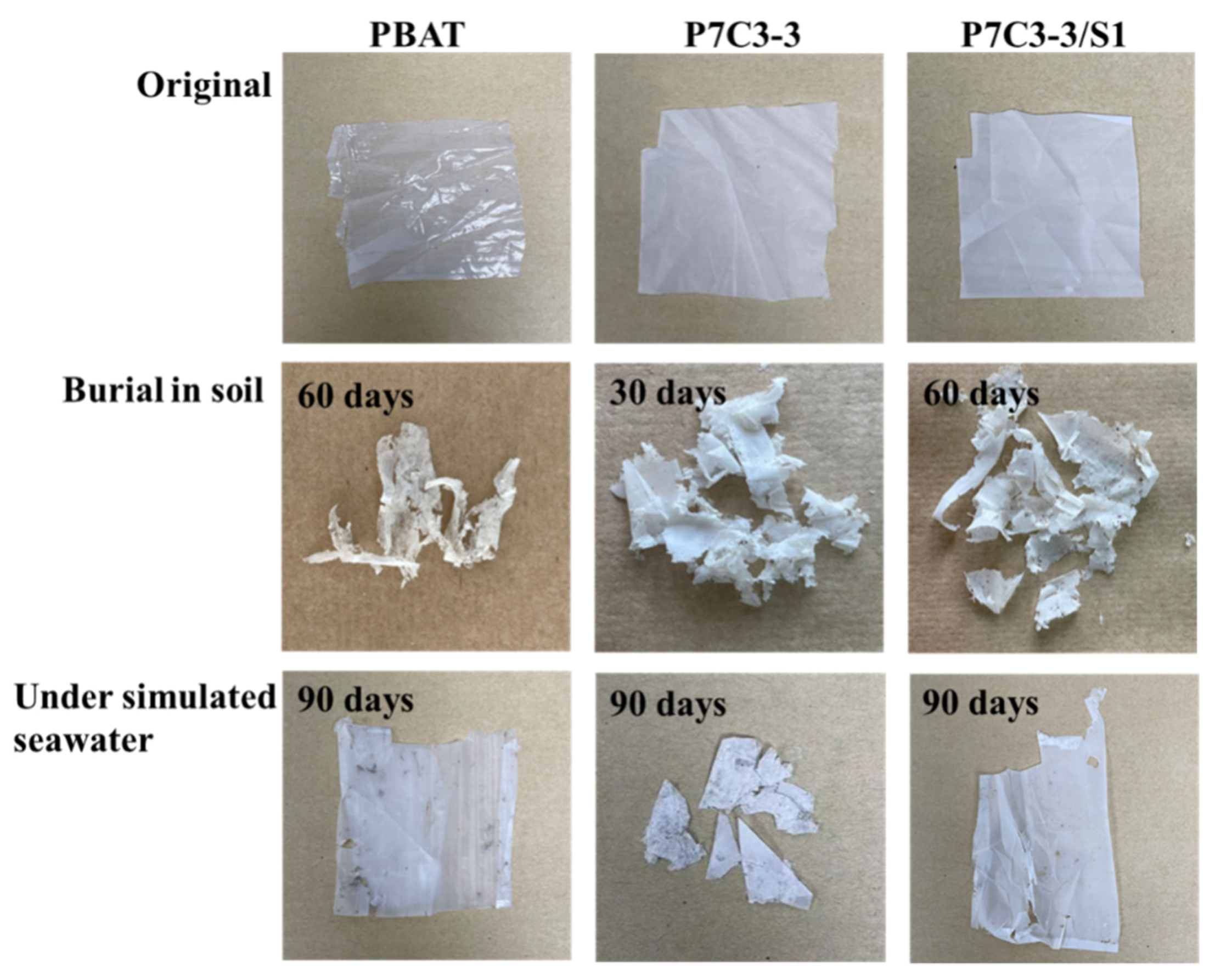 Polymers 14 00484 g004