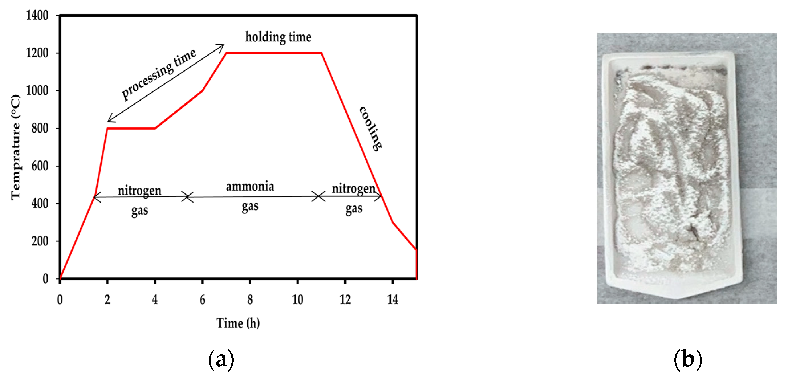 Polymers 14 00486 g001 550