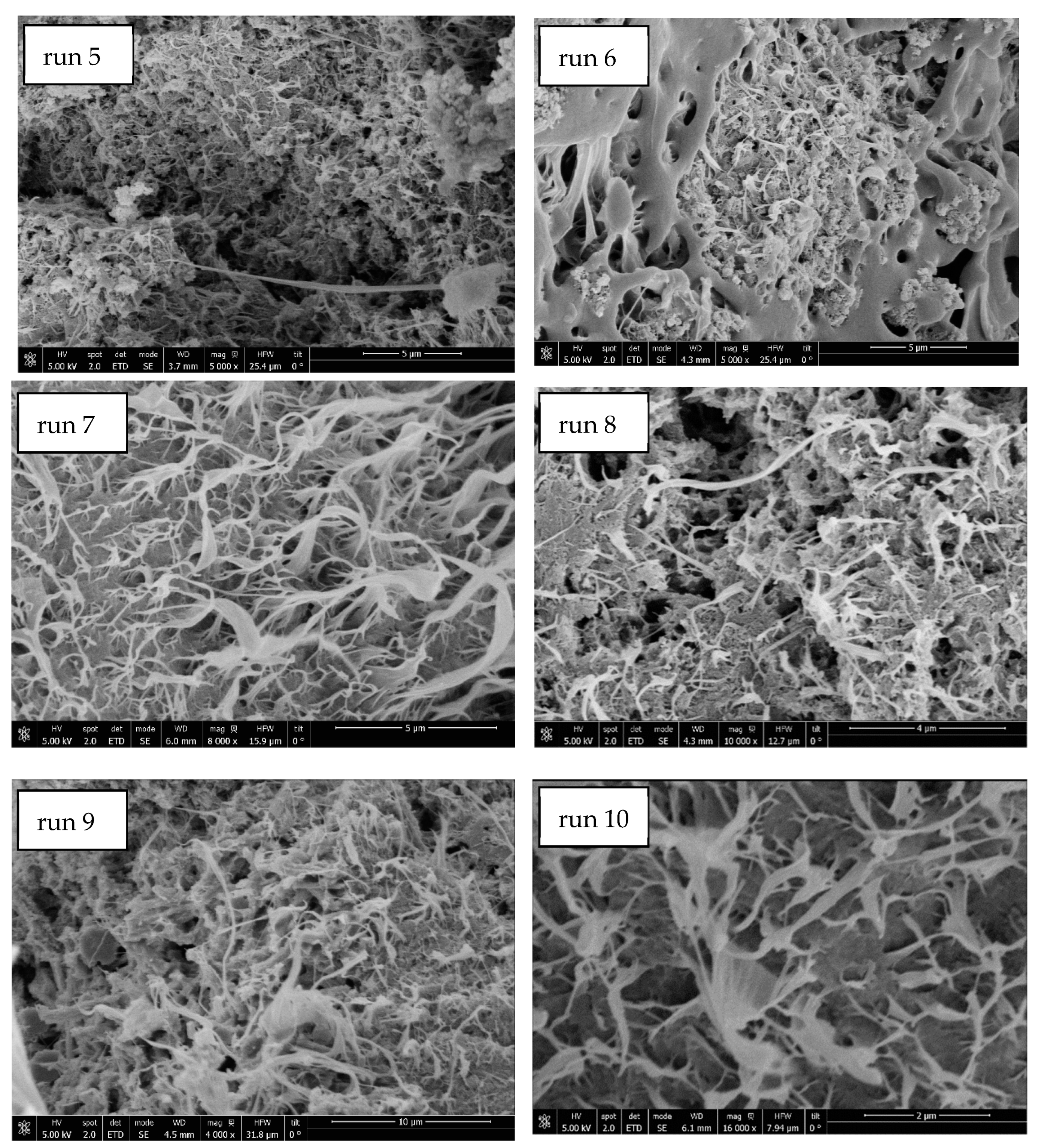 Polymers 14 00488 g003