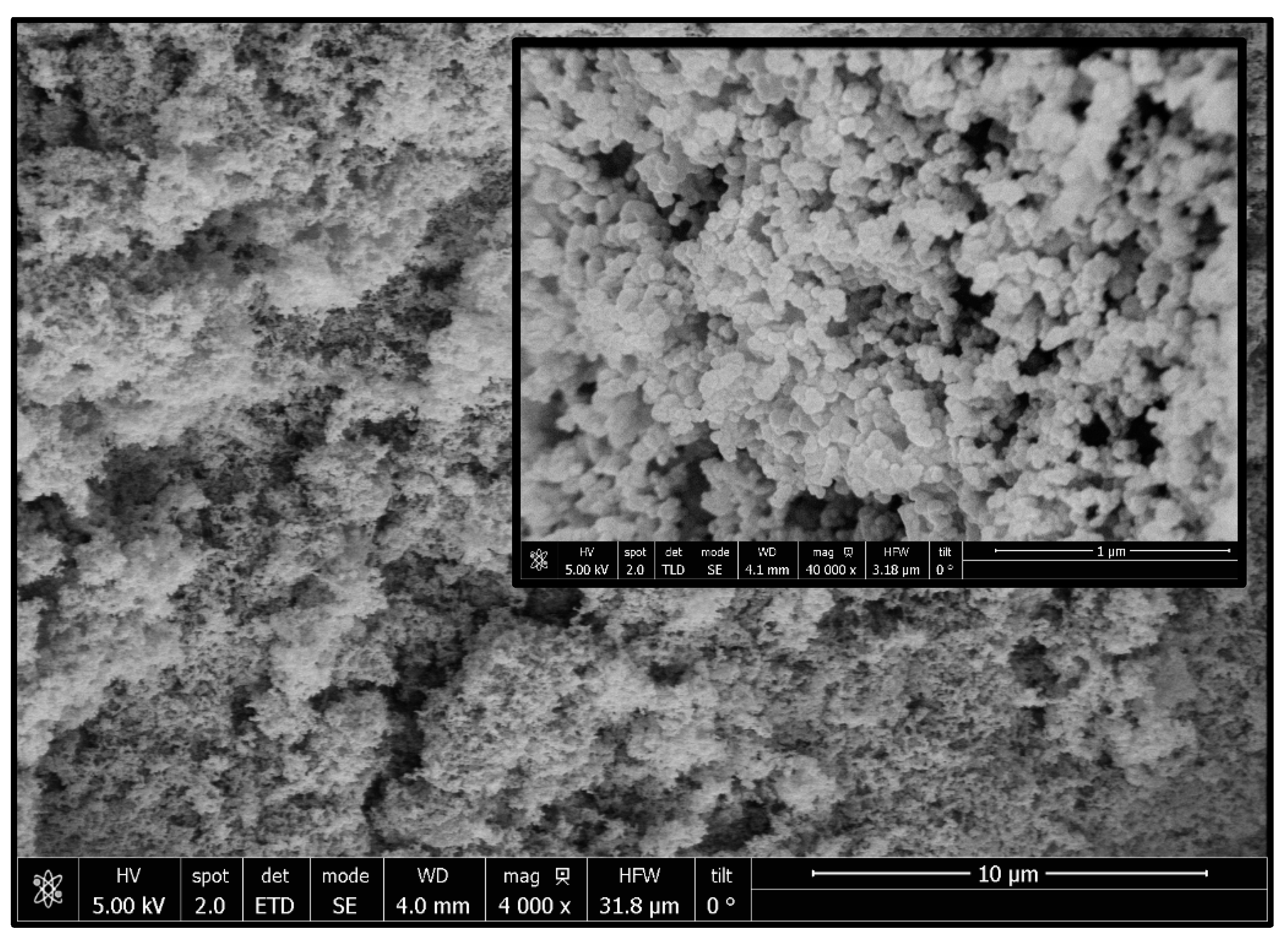 Polymers 14 00488 g004