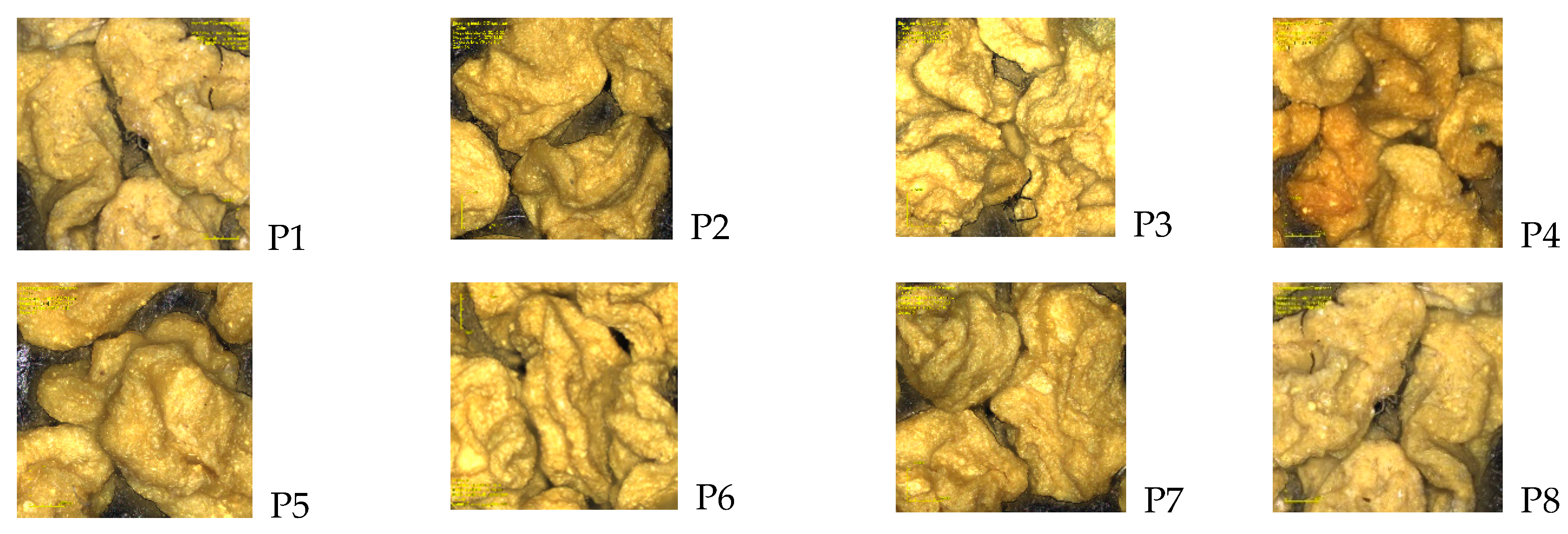 Polymers 14 00490 g013