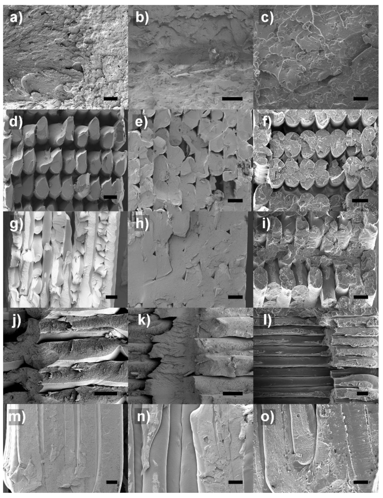 Polymers 14 00496 g004