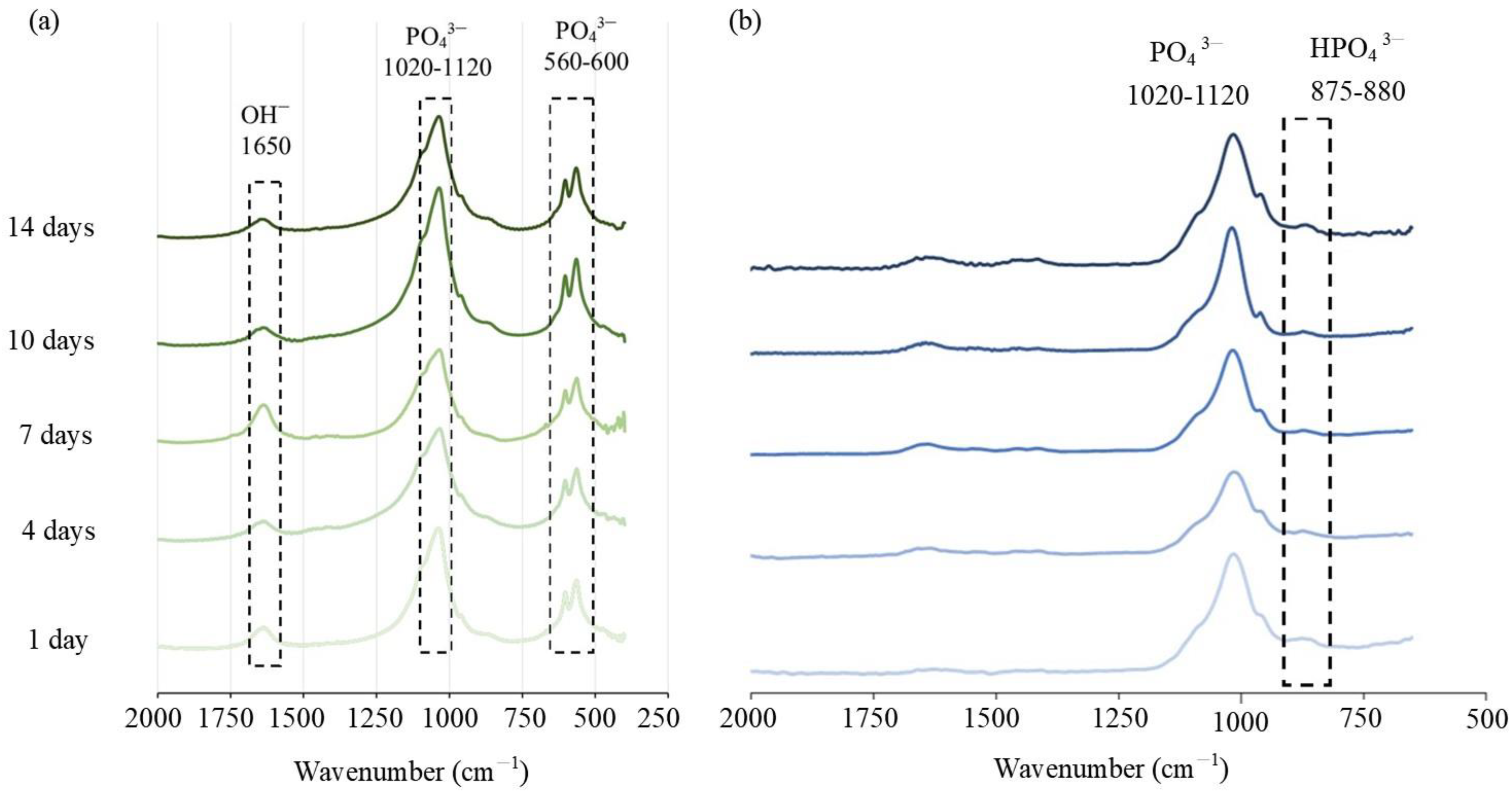 Polymers 14 00505 g004