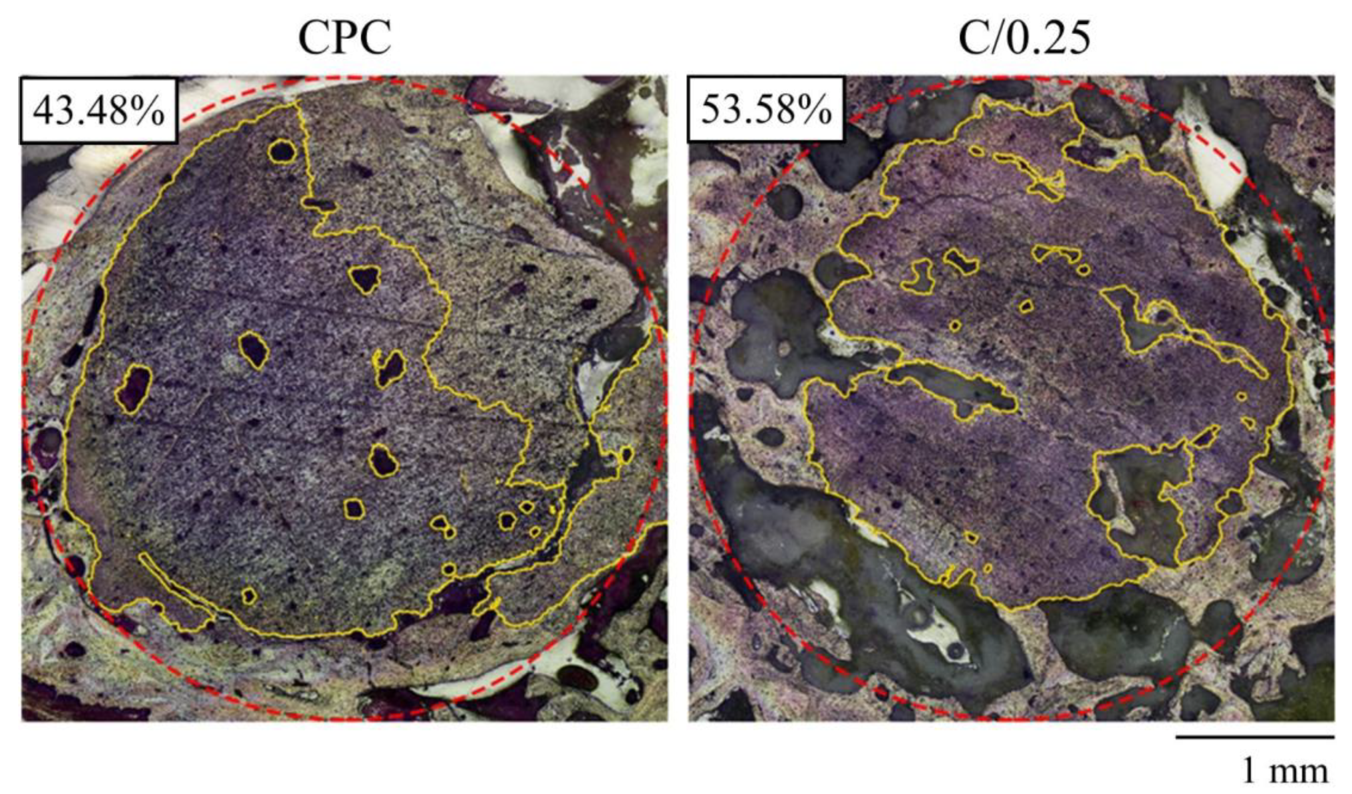 Polymers 14 00505 g008