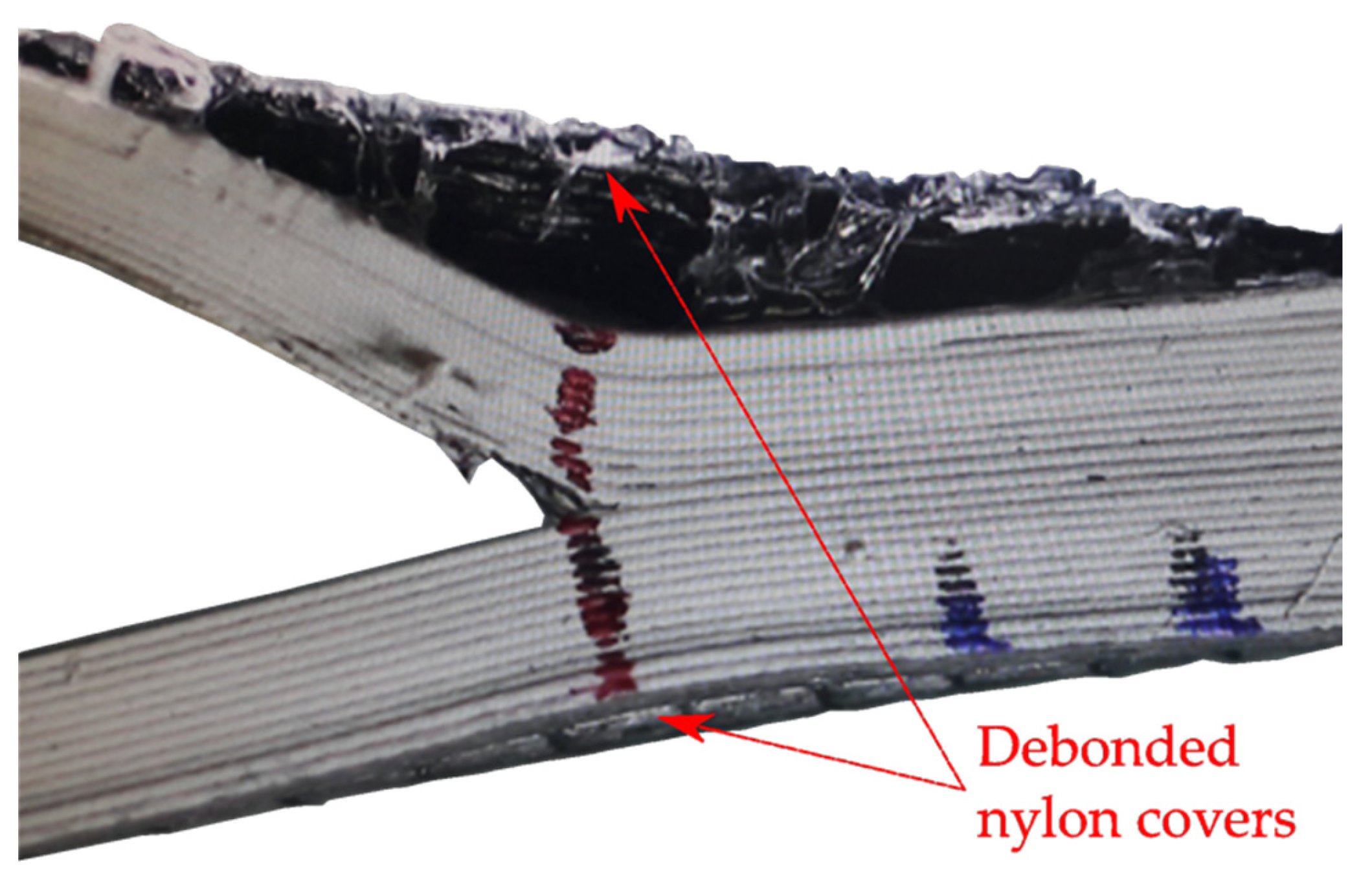Polymers 14 00506 g003