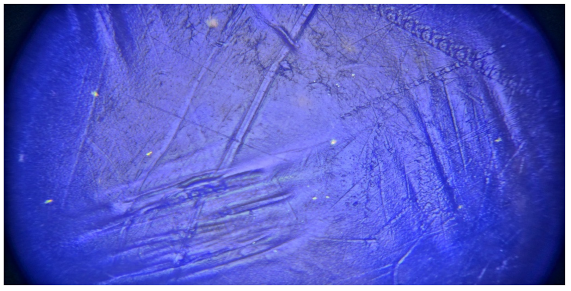 Polymers 14 00509 g014 550