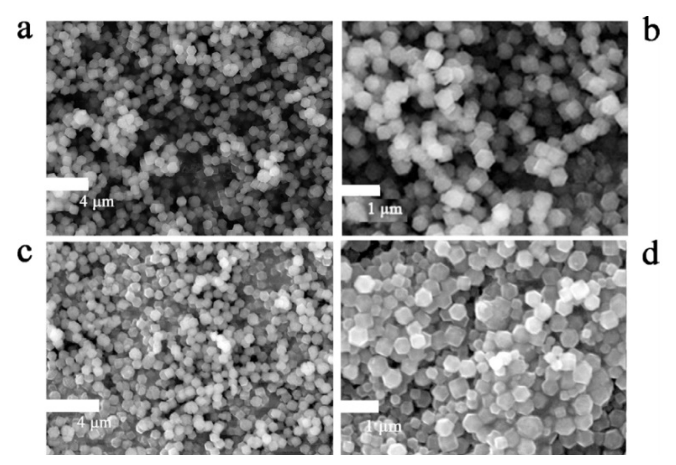 Polymers 14 00511 g004 550