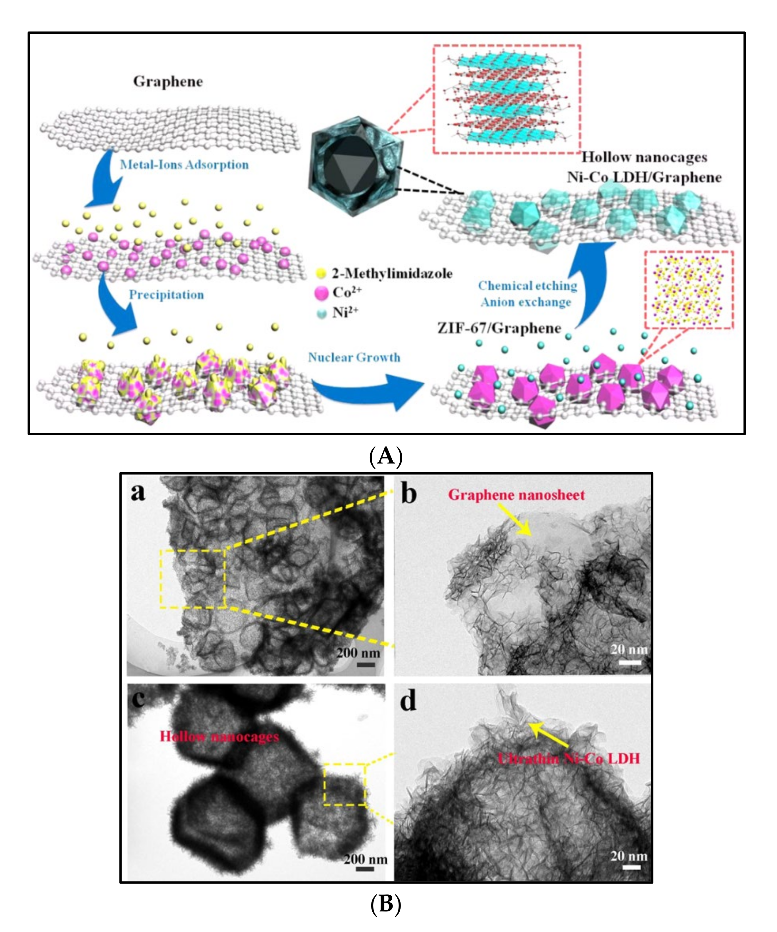 Polymers 14 00511 g006 550