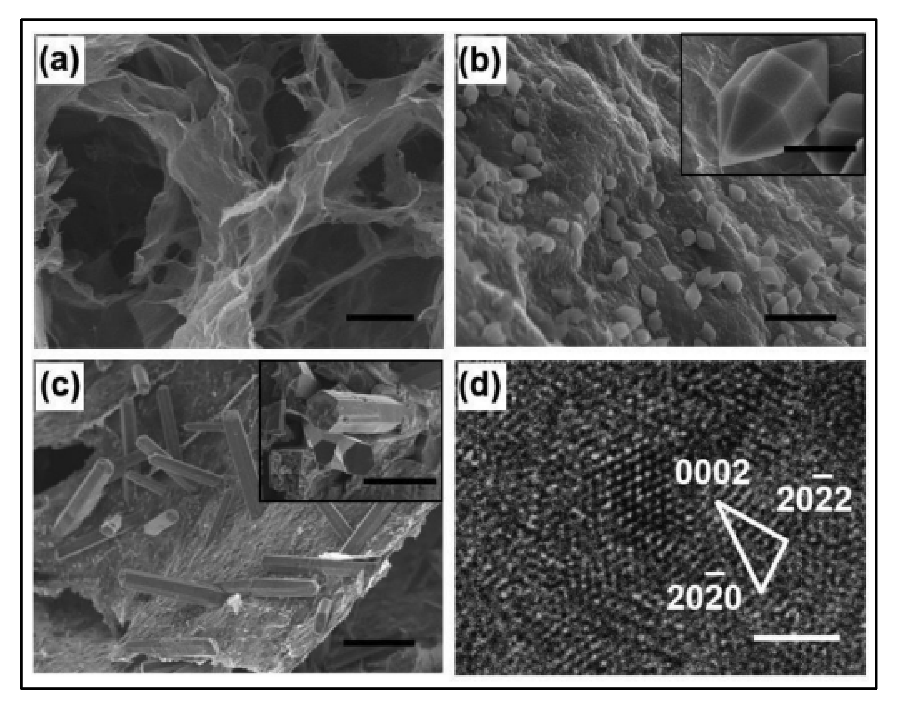 Polymers 14 00511 g009 550
