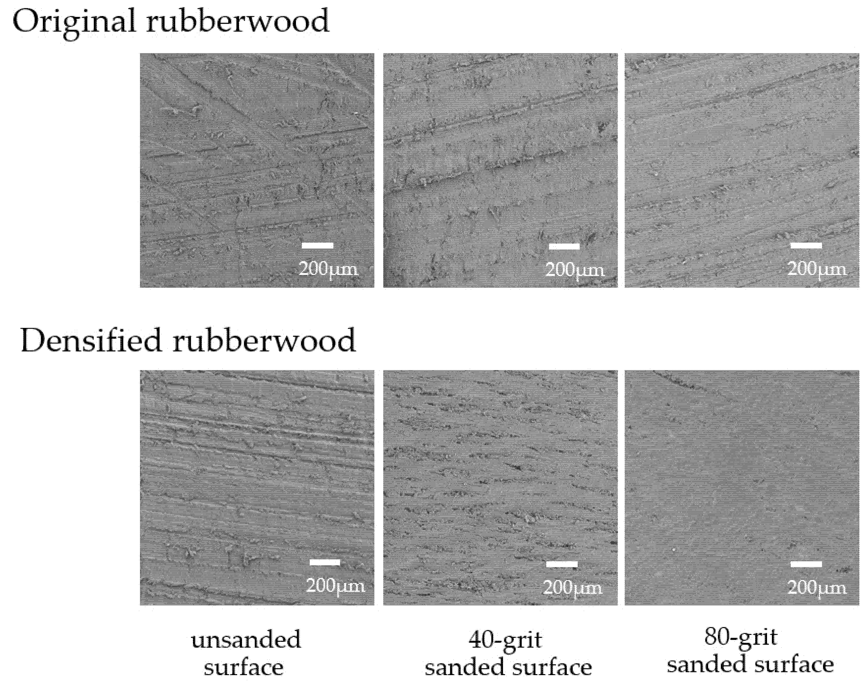 Polymers 14 00515 g001