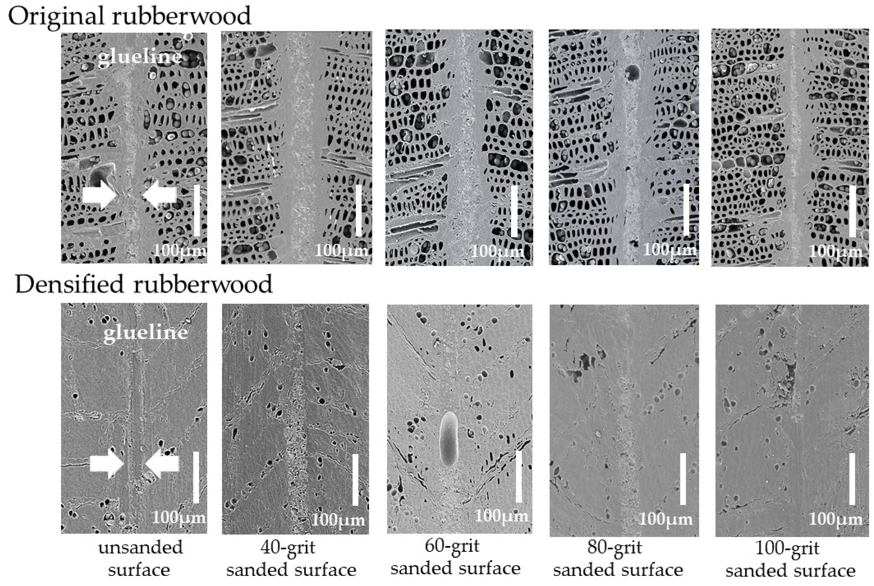 Polymers 14 00515 g003