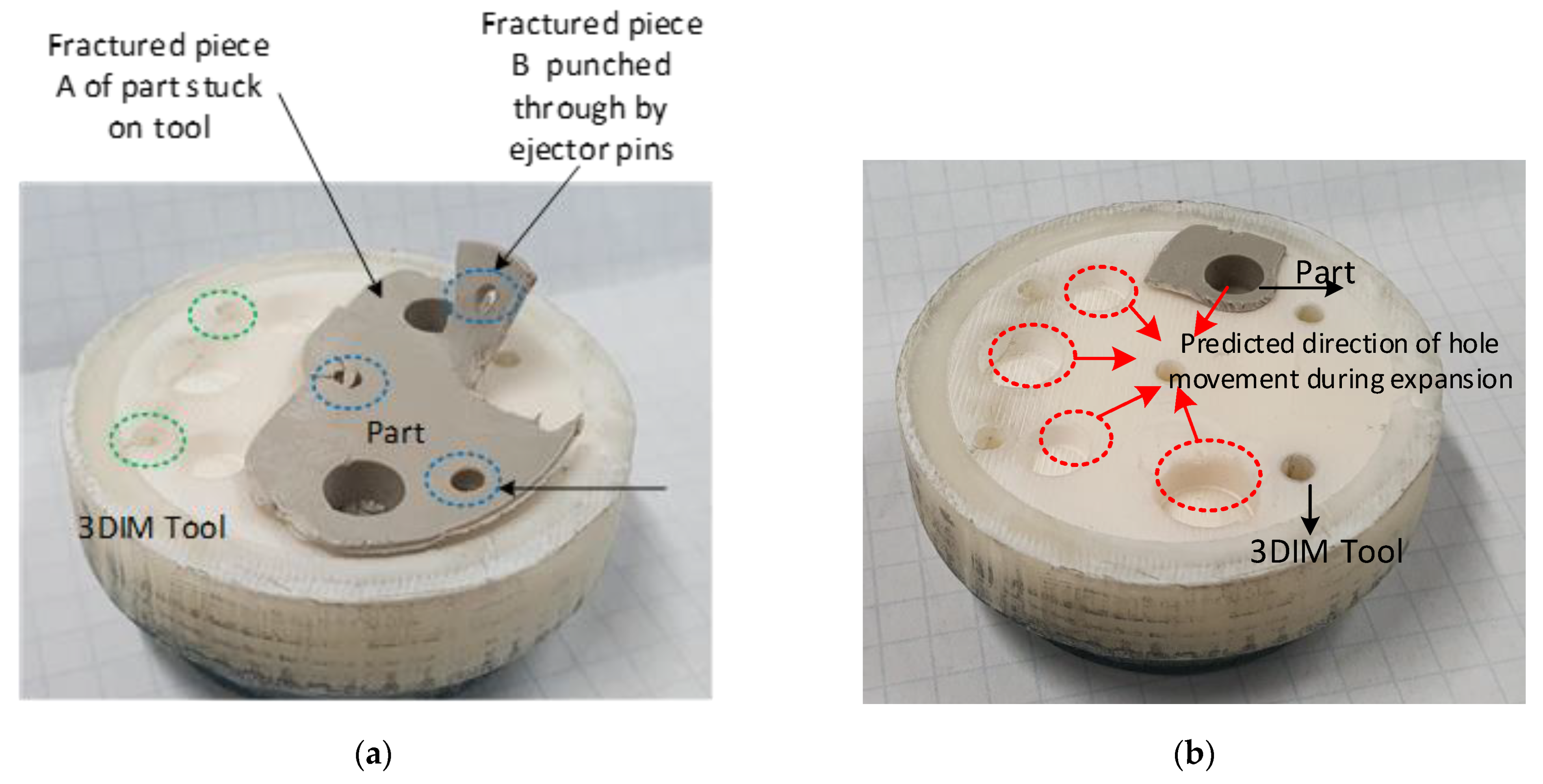 Polymers 14 00520 g017 550