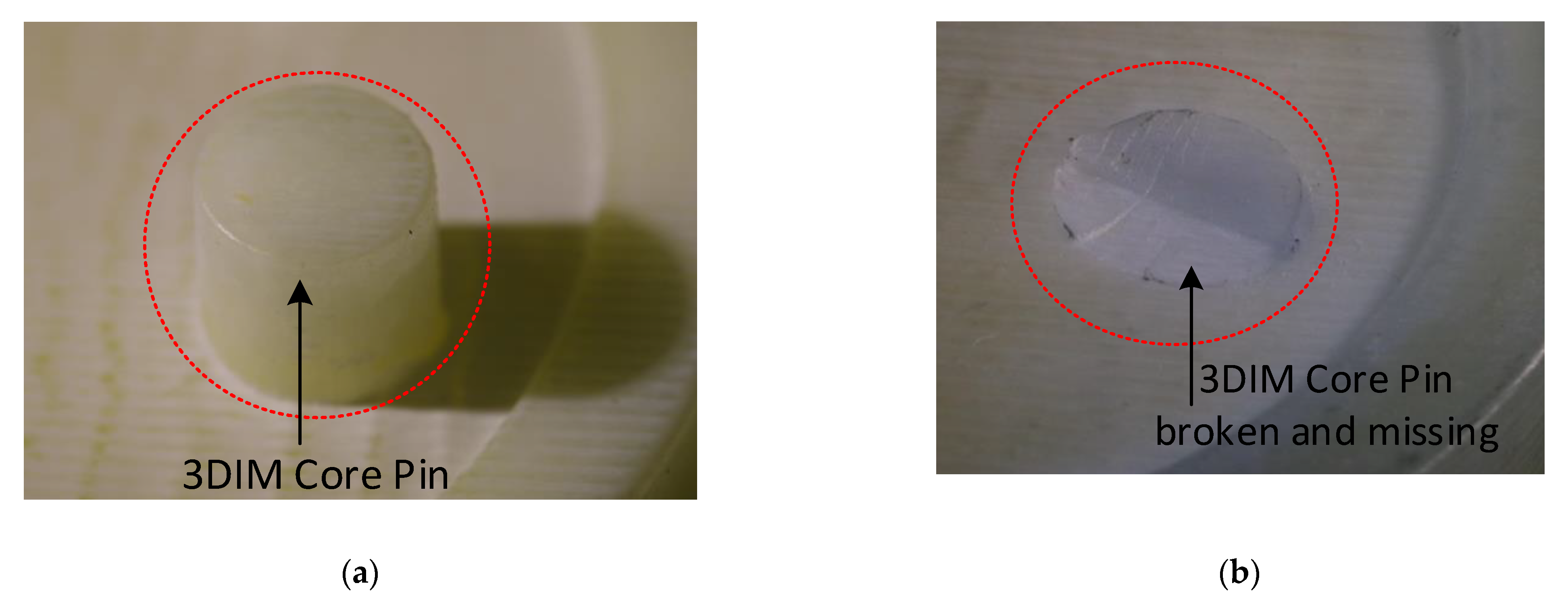 Polymers 14 00520 g019 550