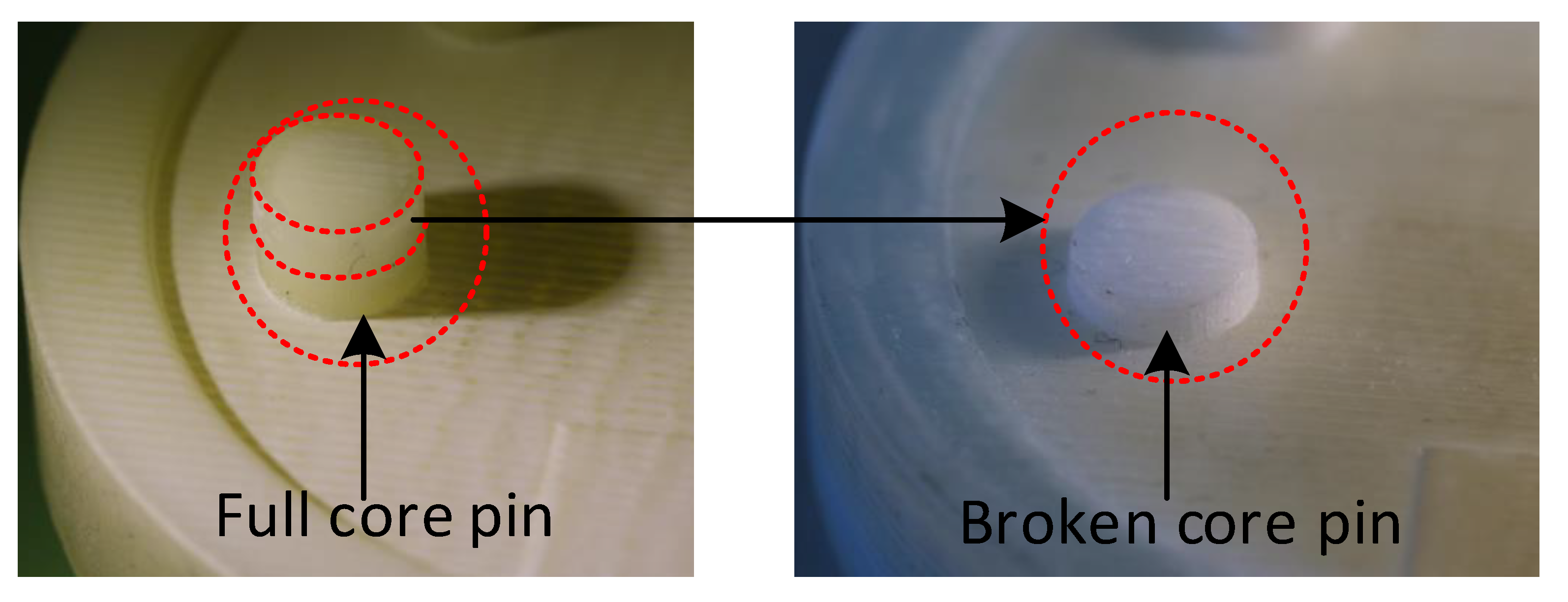 Polymers 14 00520 g022 550