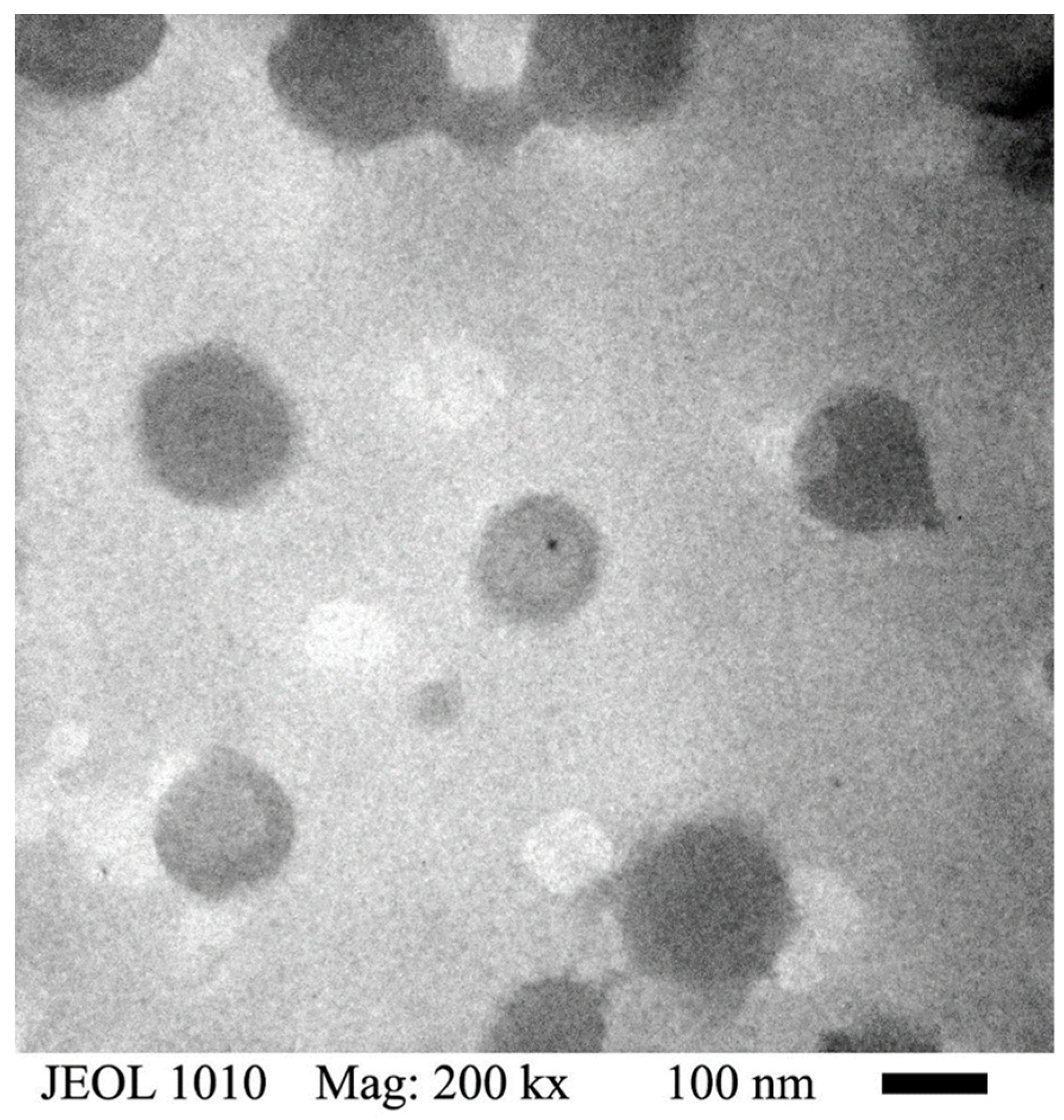 Polymers 14 00522 g006
