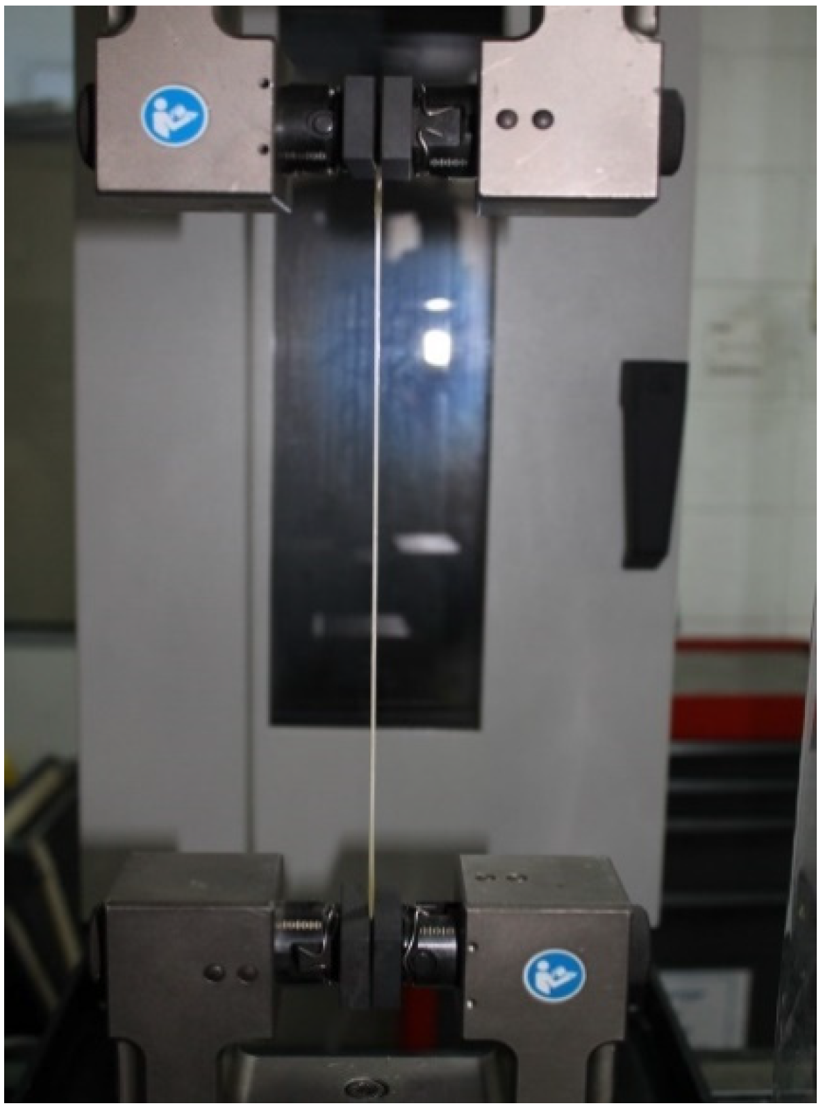 Polymers 14 00526 g002