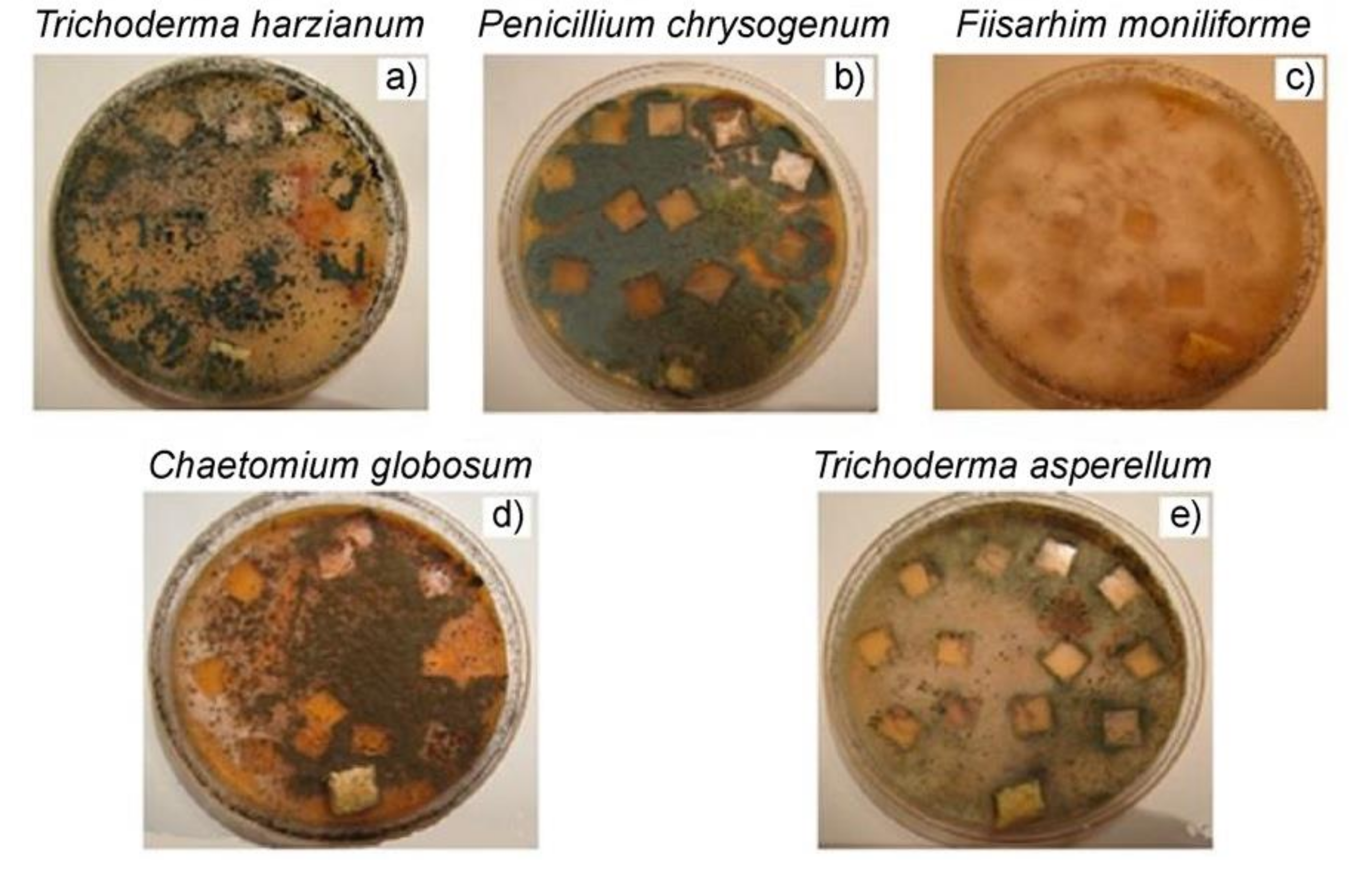 Polymers 14 00530 g008 550