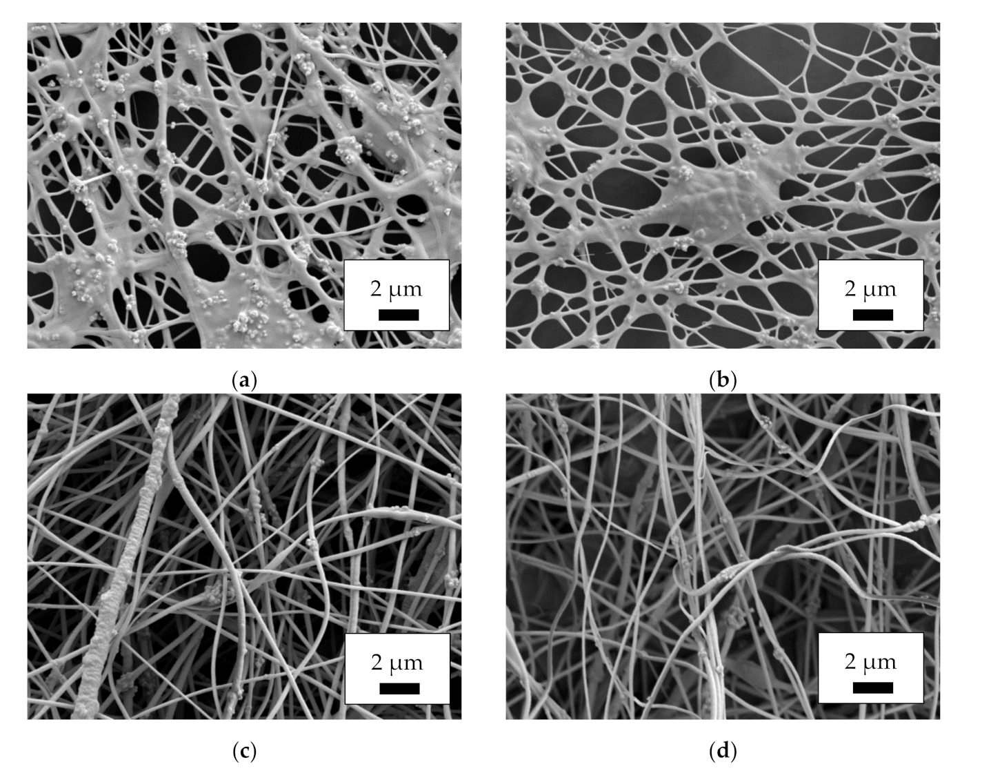 Polymers 14 00533 g002