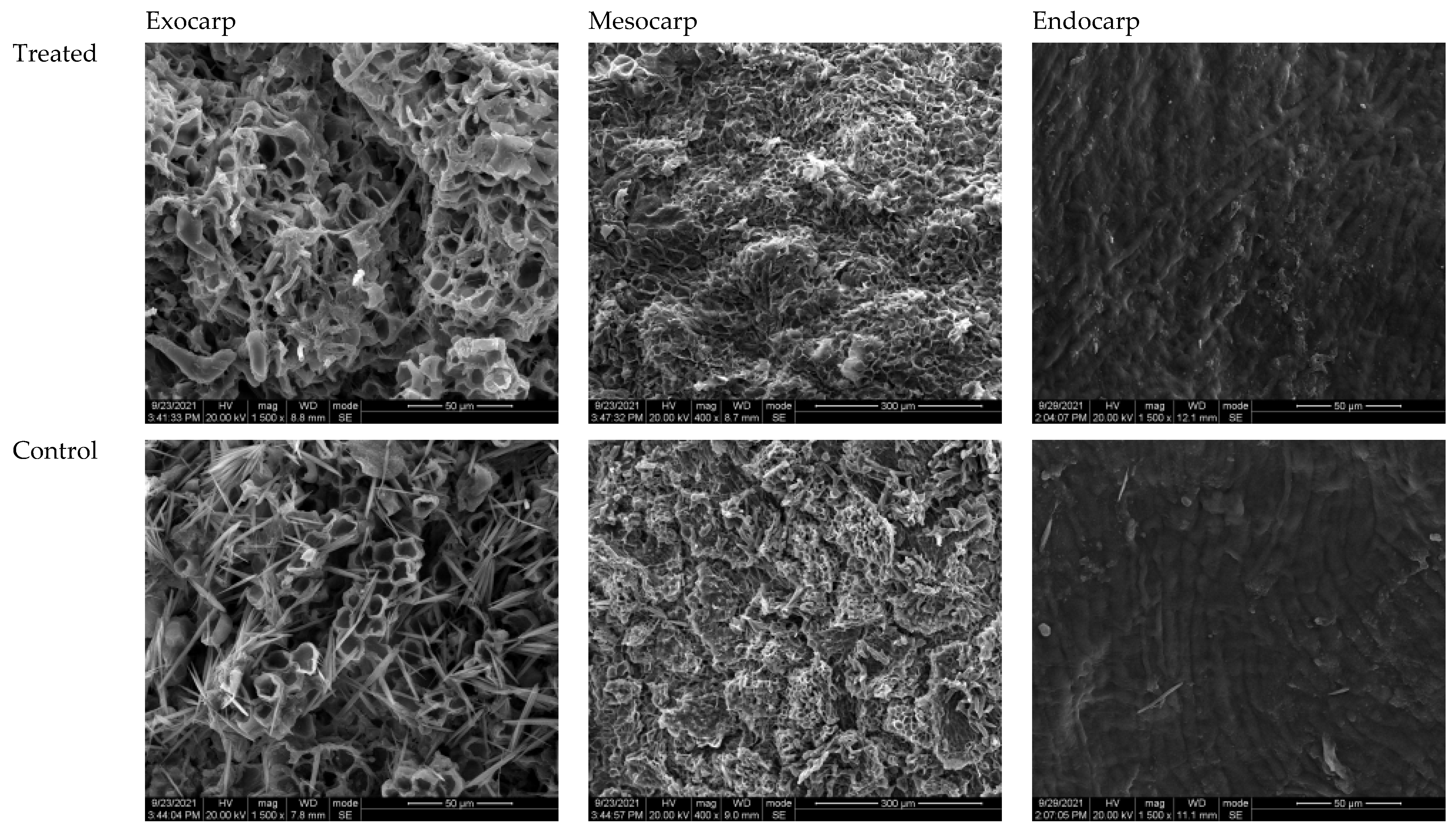 Polymers 14 00536 g009 Polymers 14 00536 g009