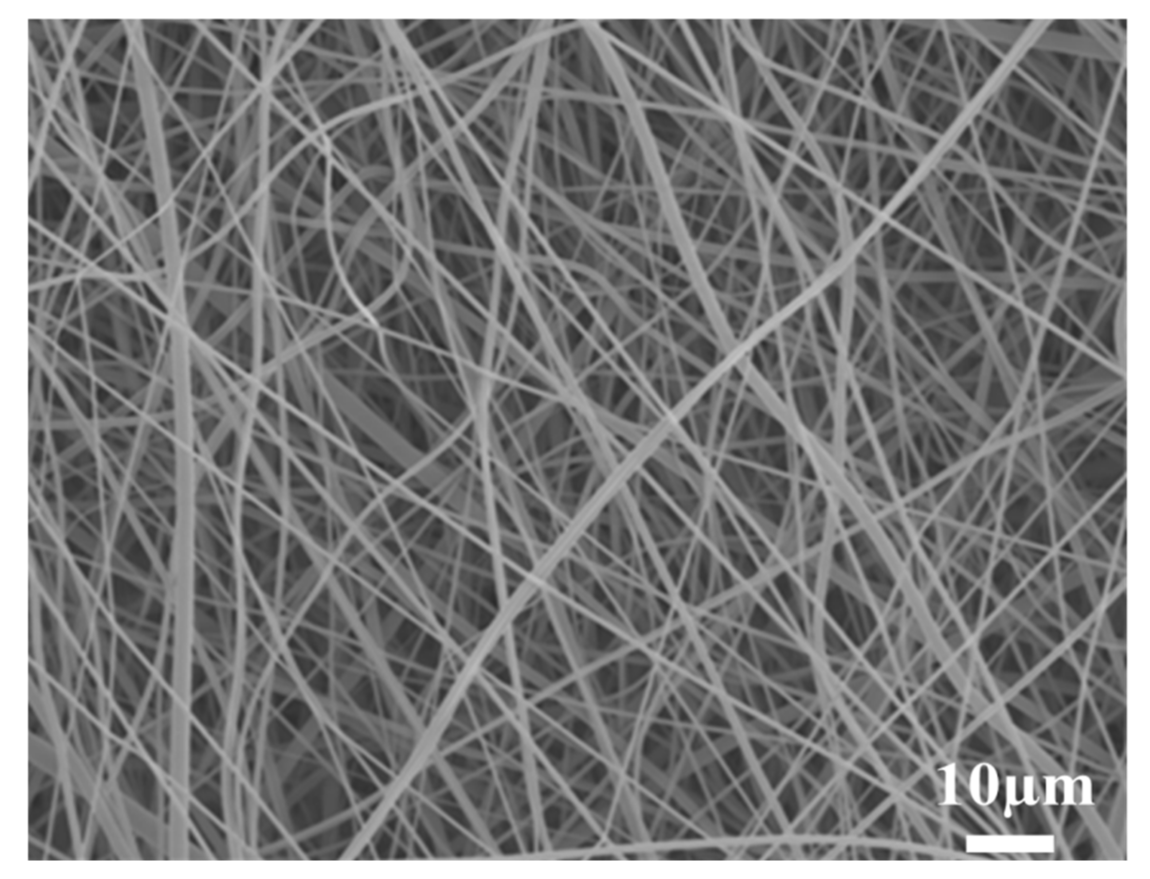Polymers 14 00537 g002