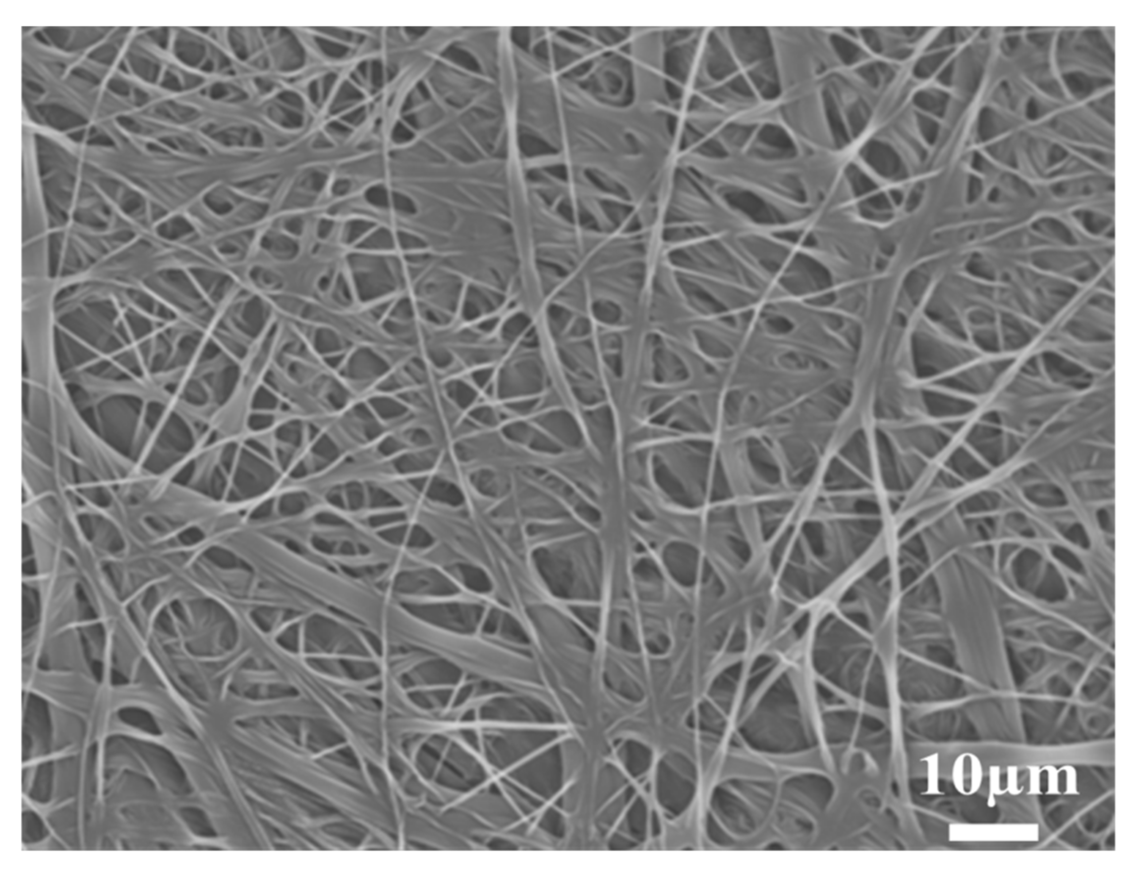 Polymers 14 00537 g003