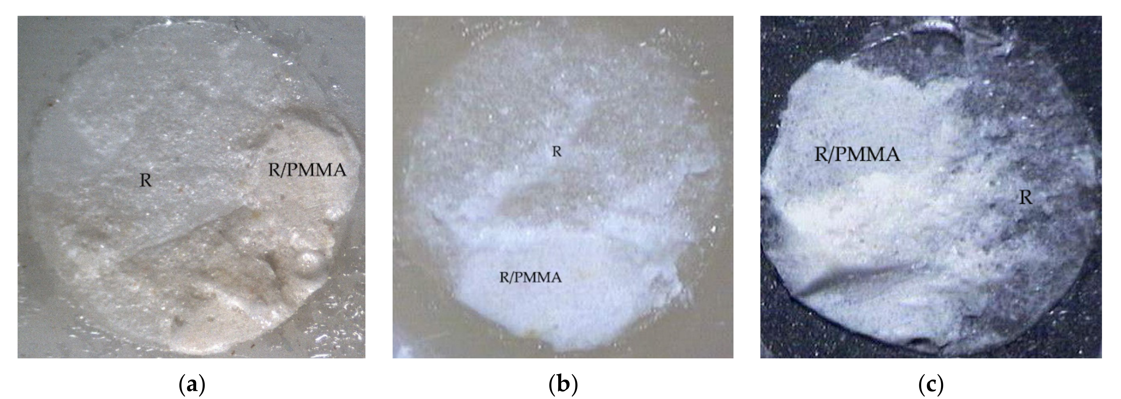 Polymers 14 00538 g003 550