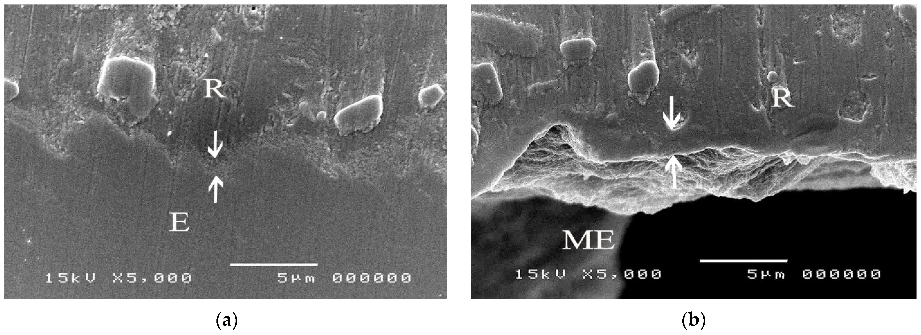 Polymers 14 00538 g006 550