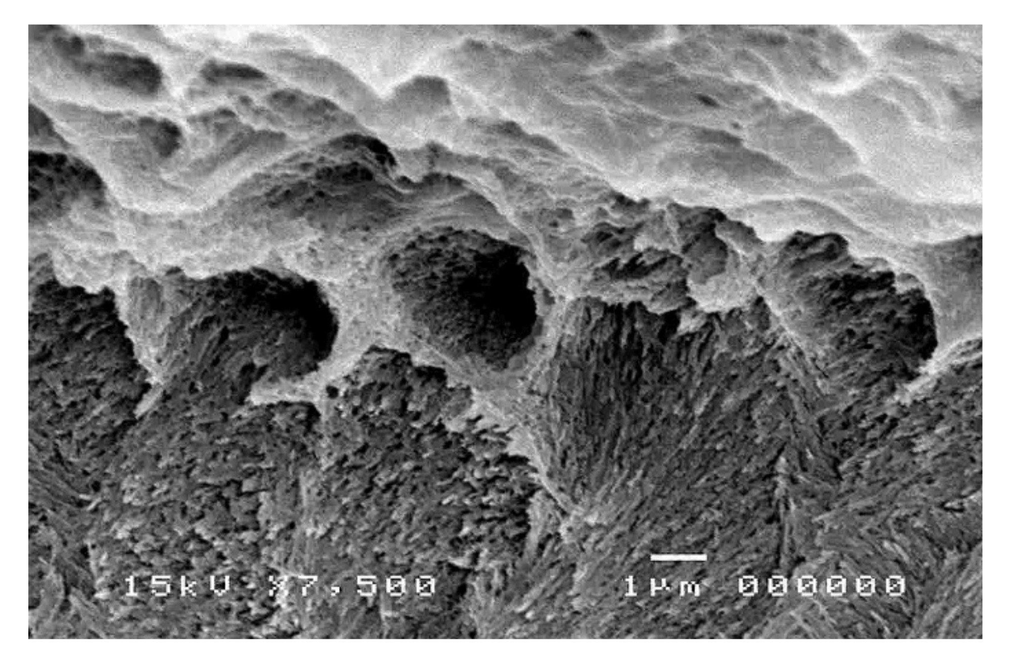 Polymers 14 00538 g007 550