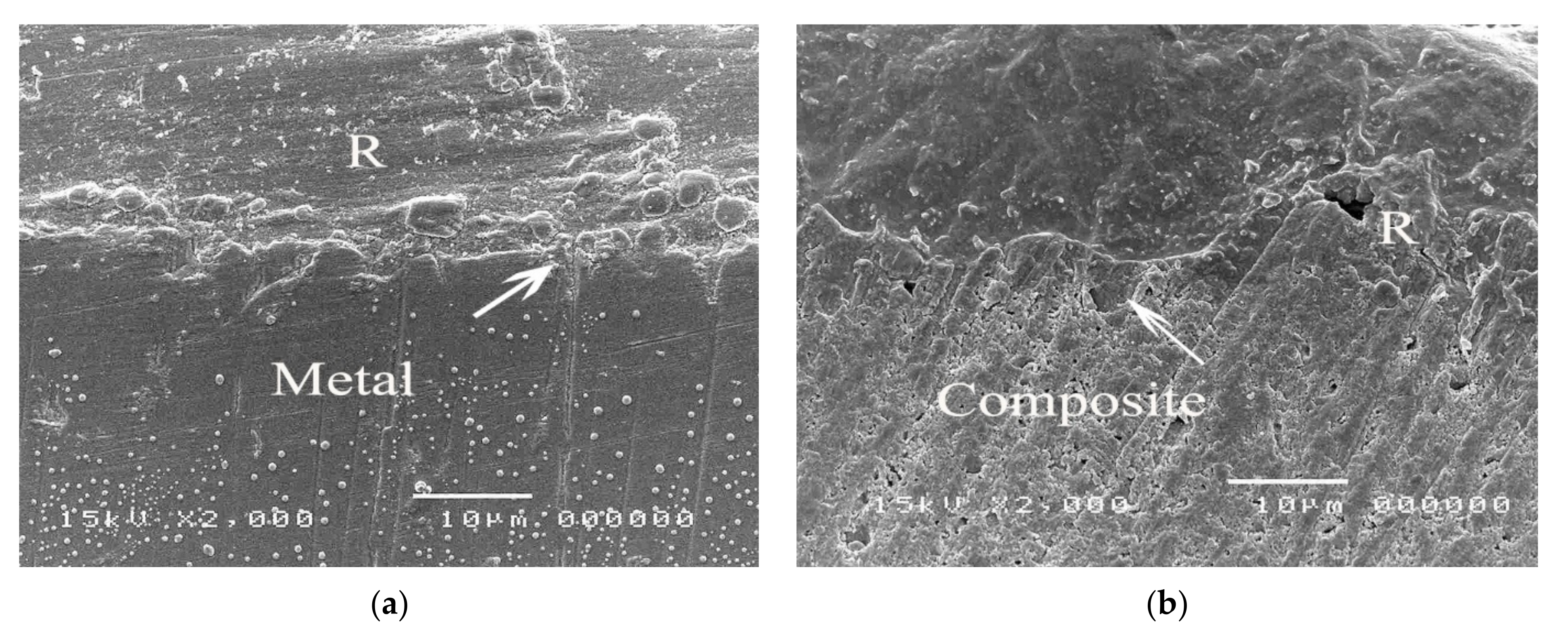 Polymers 14 00538 g009 550