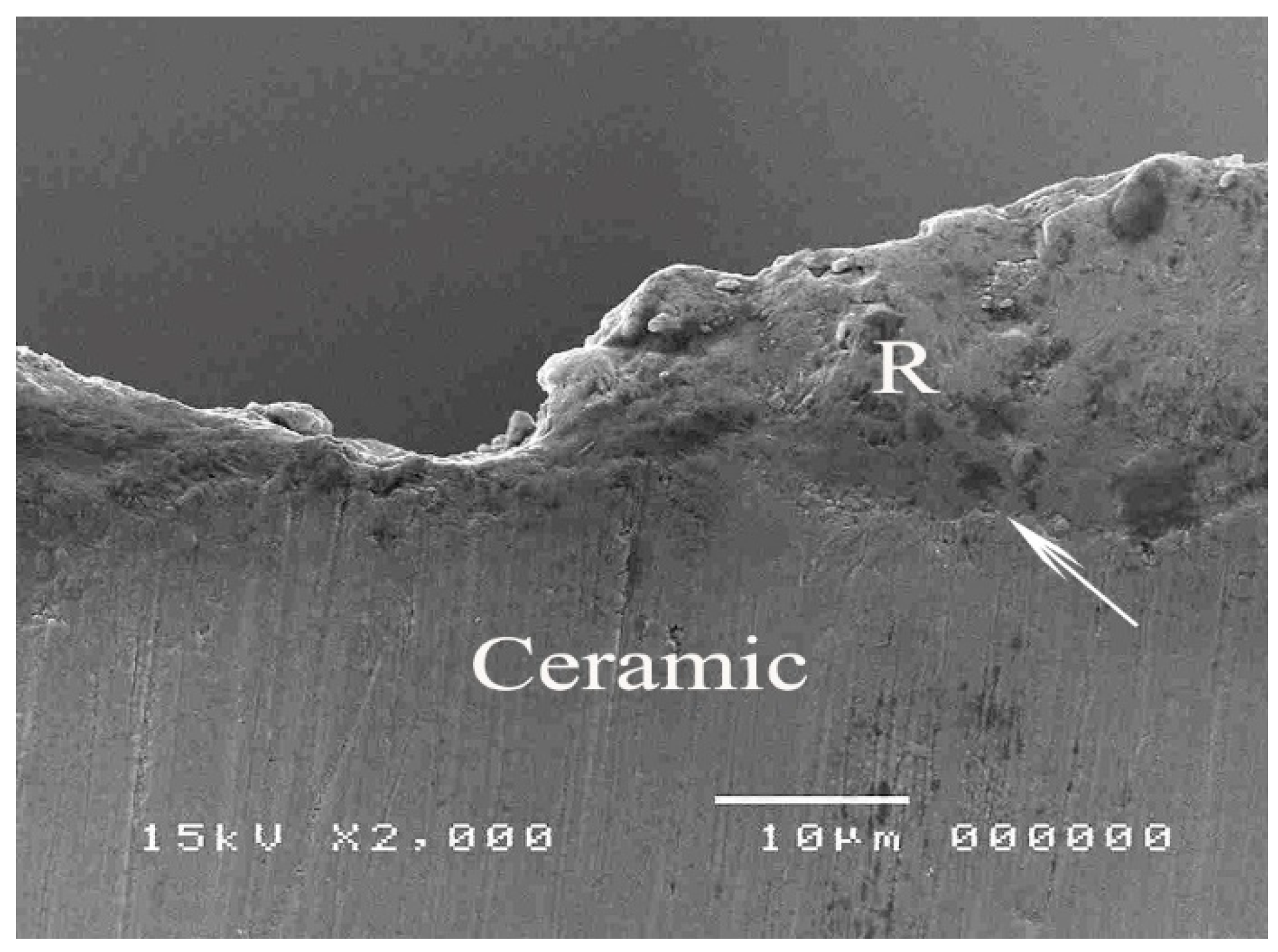 Polymers 14 00538 g010 550