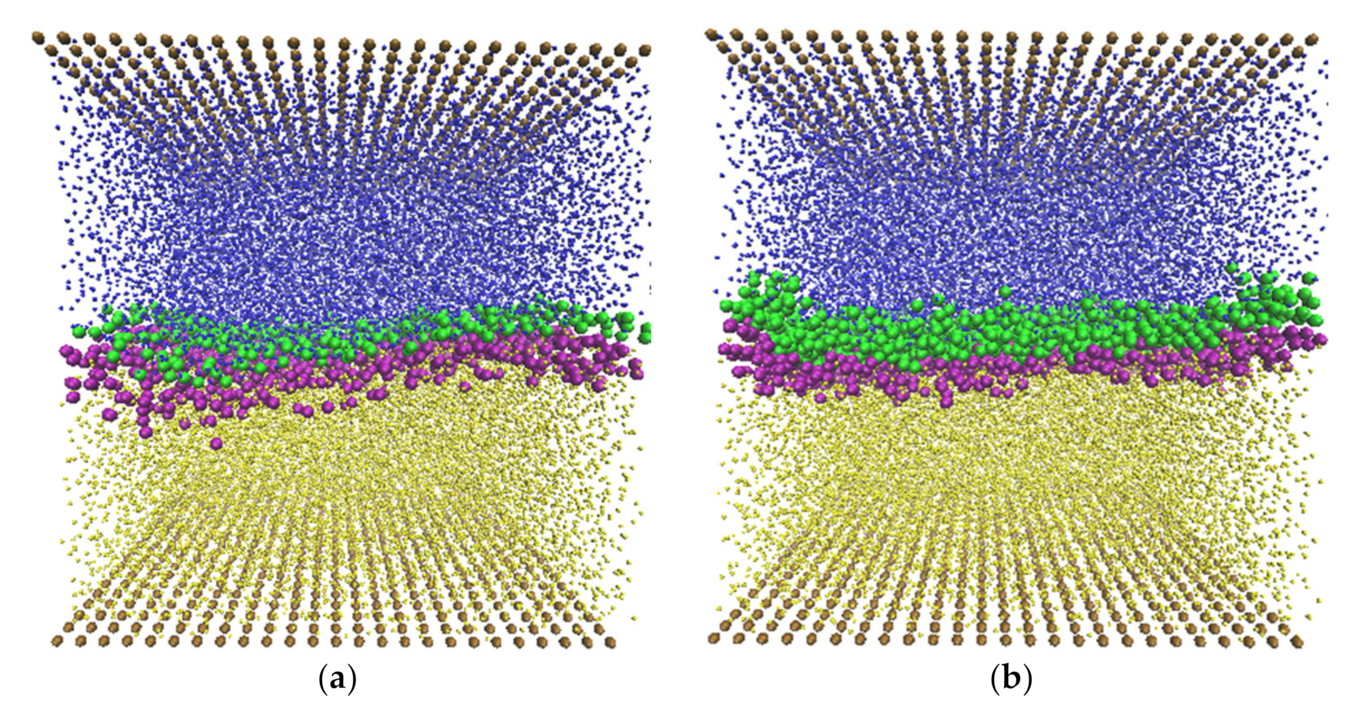Polymers 14 00543 g006 550
