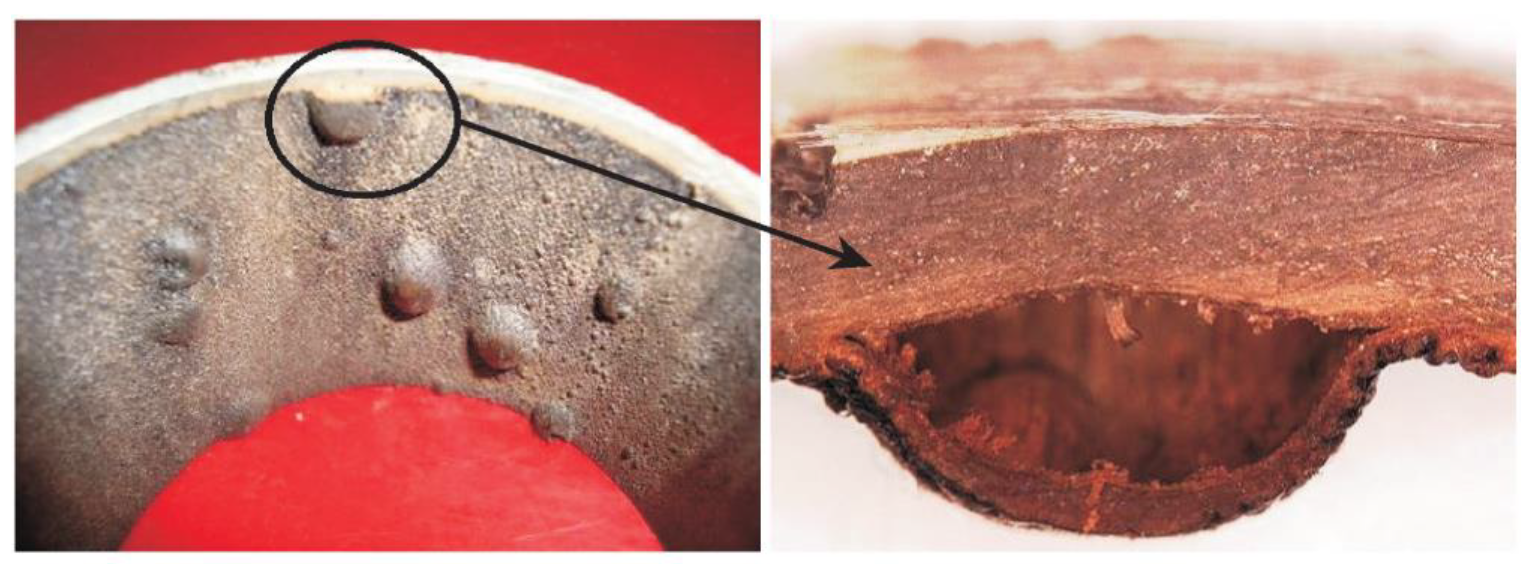 Polymers 14 00545 g001