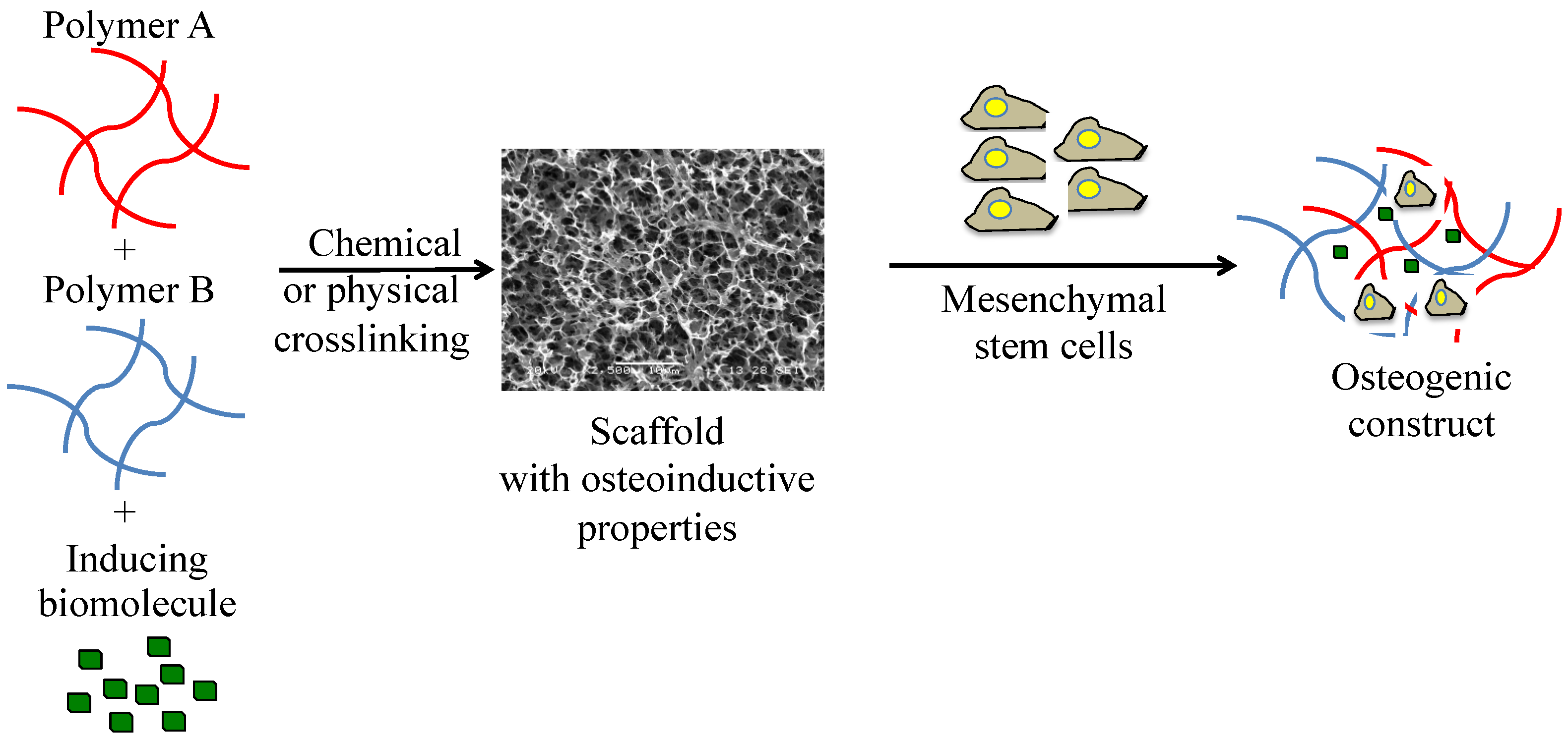 Polymers 14 00547 g001 Polymers 14 00547 g001