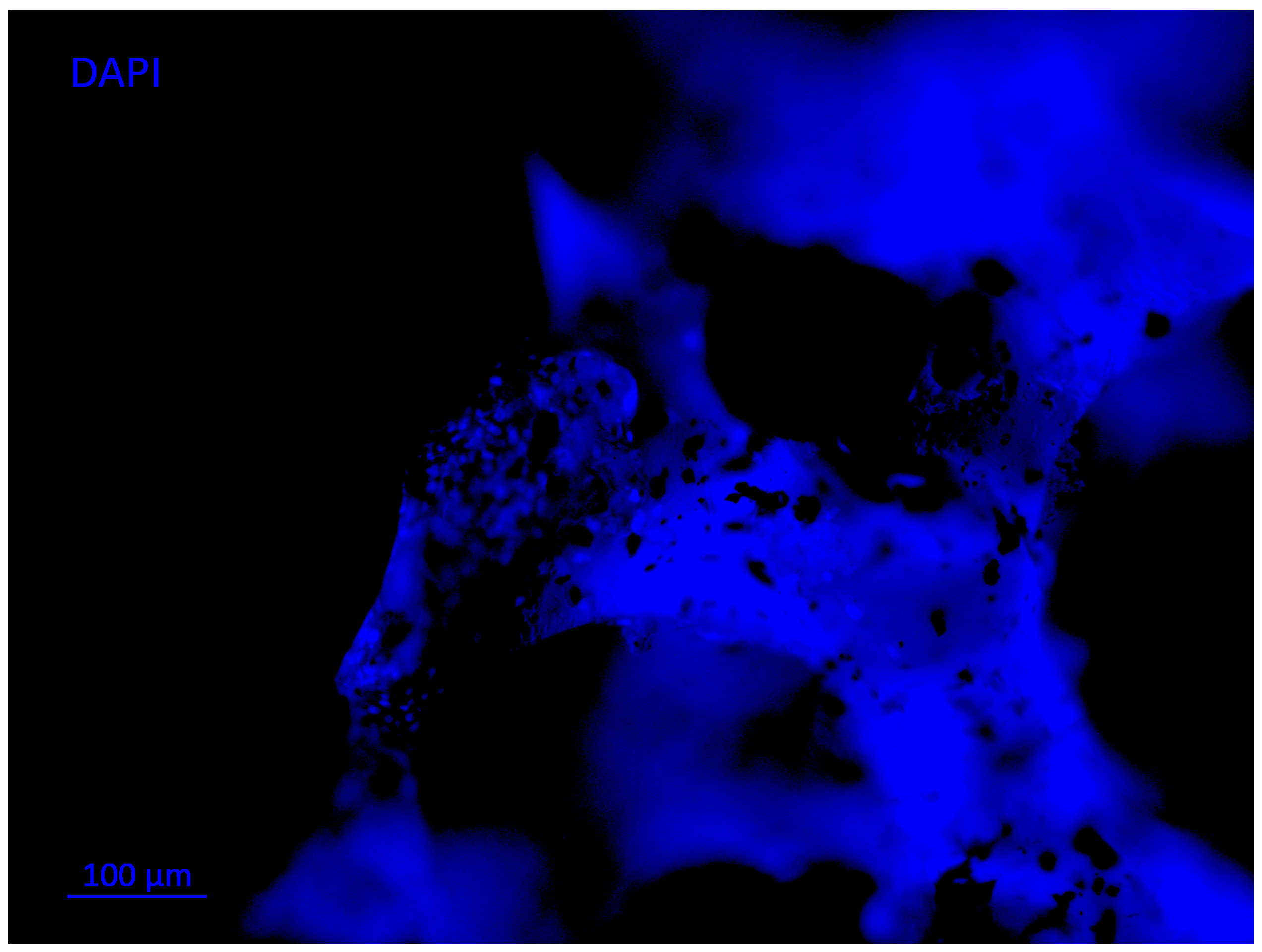 Polymers 14 00547 g003 Polymers 14 00547 g003