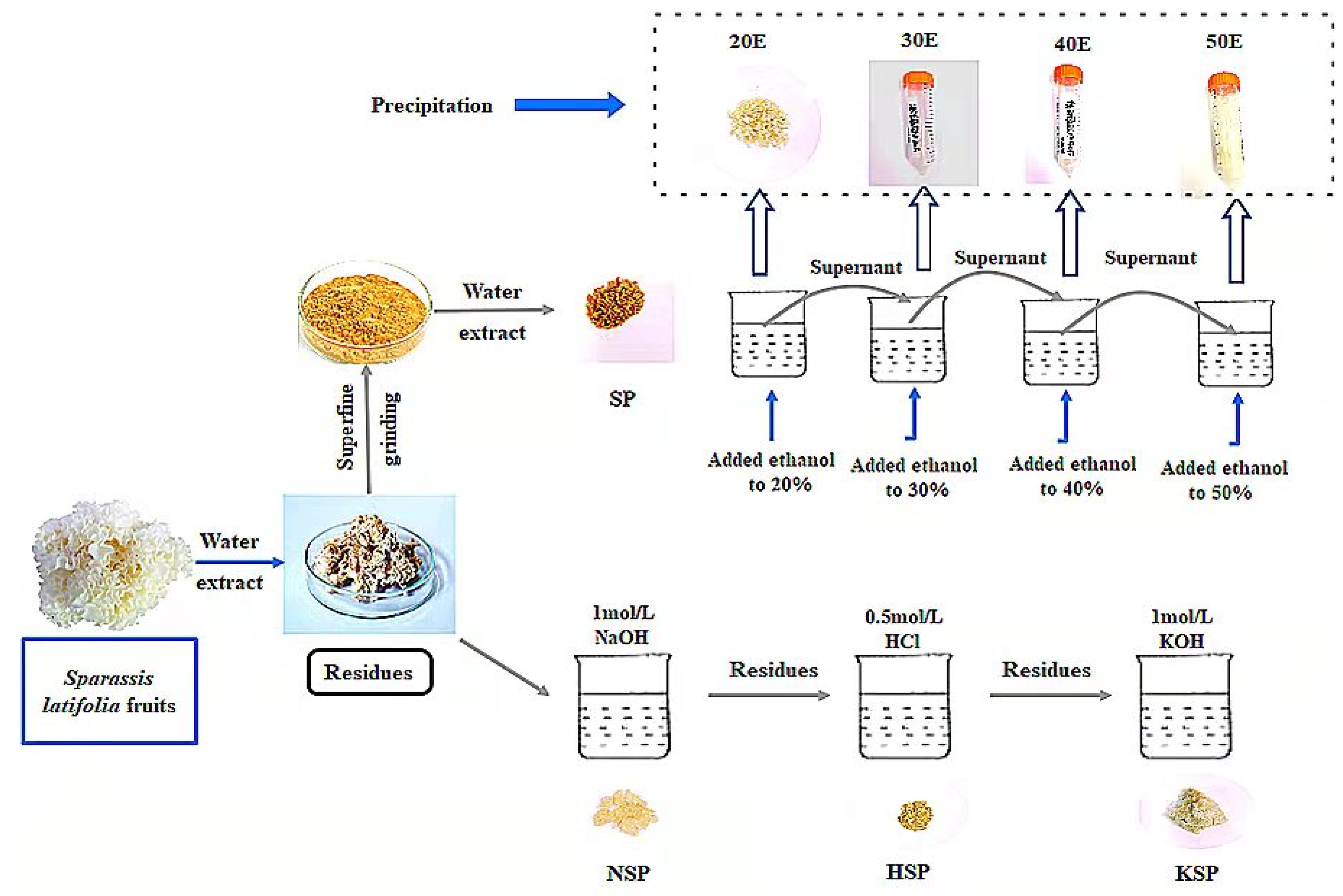 Polymers 14 00549 g001