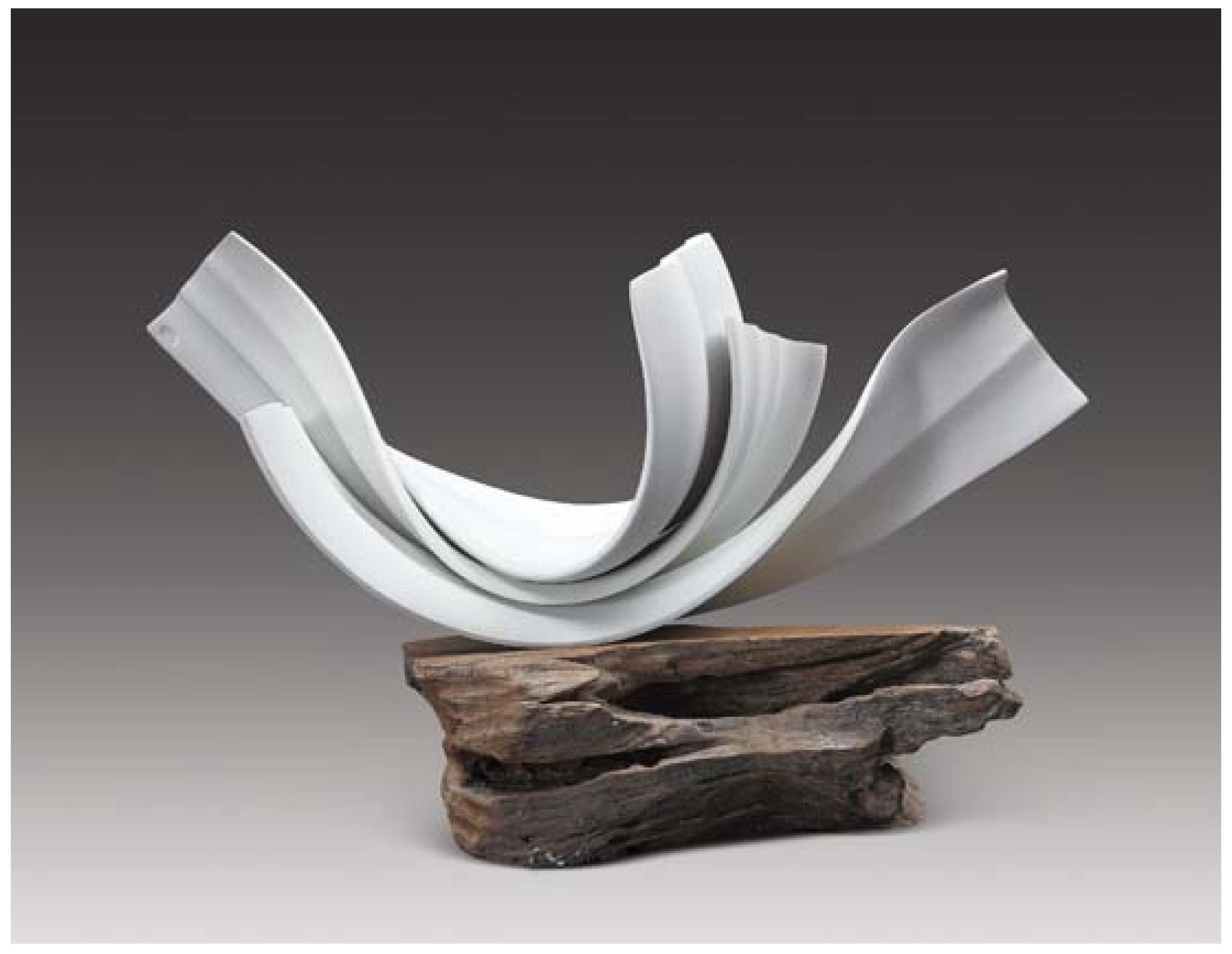 Polymers 14 00552 g003 550