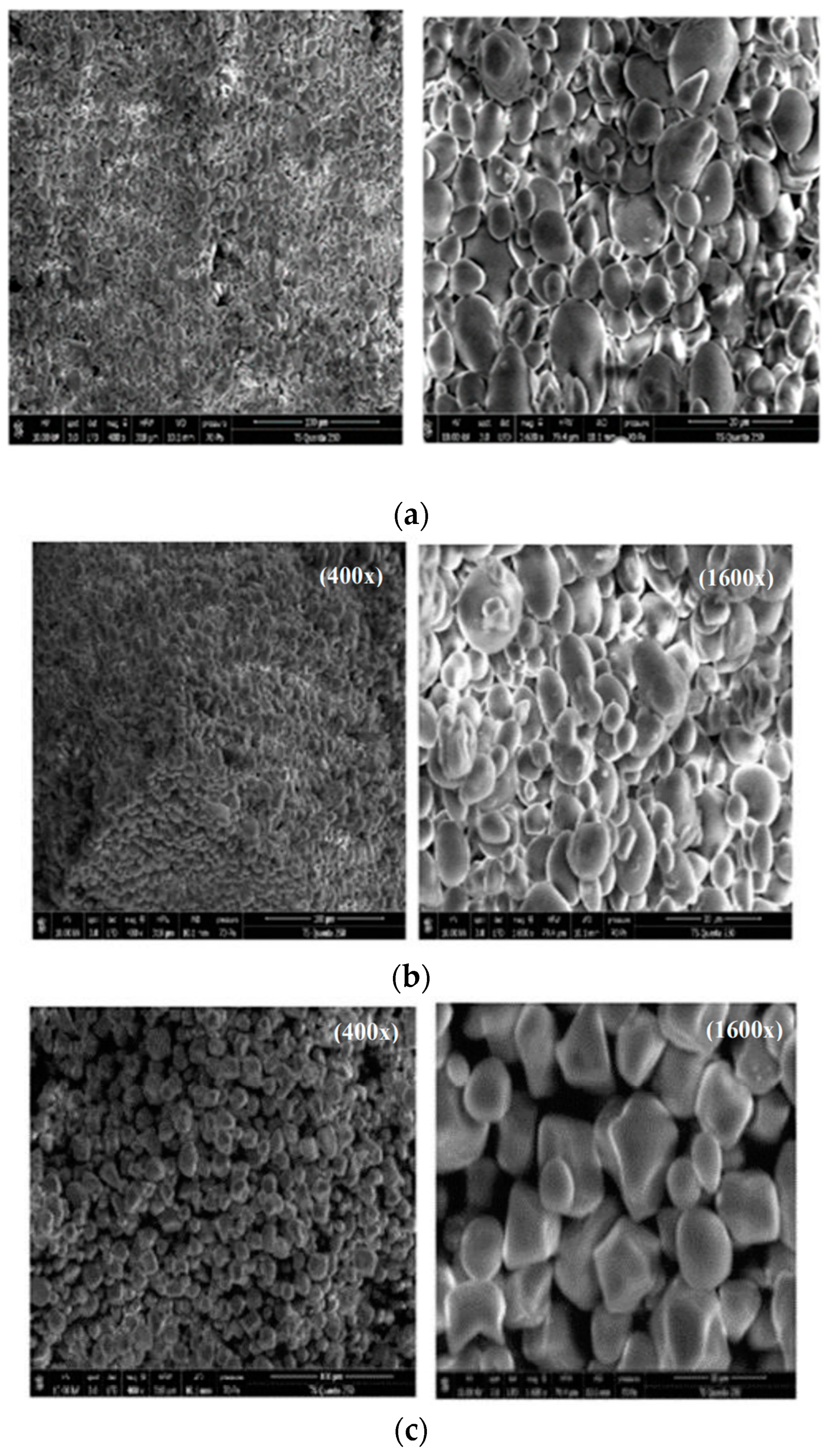 Polymers 14 00556 g003a Polymers 14 00556 g003a