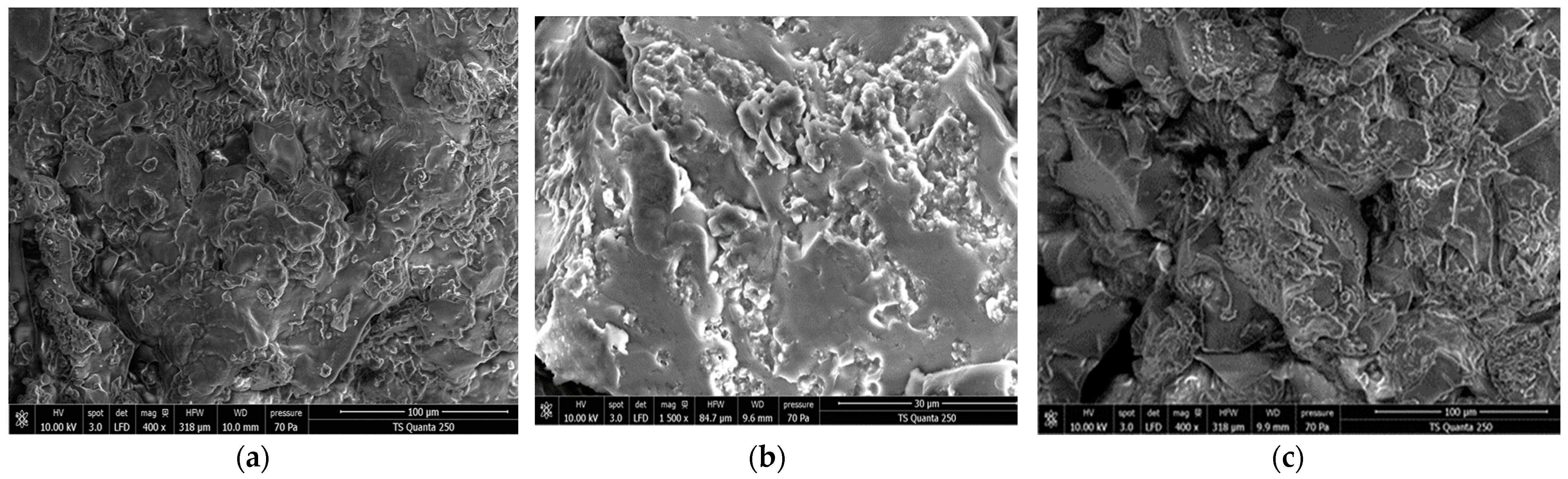 Polymers 14 00556 g005 Polymers 14 00556 g005