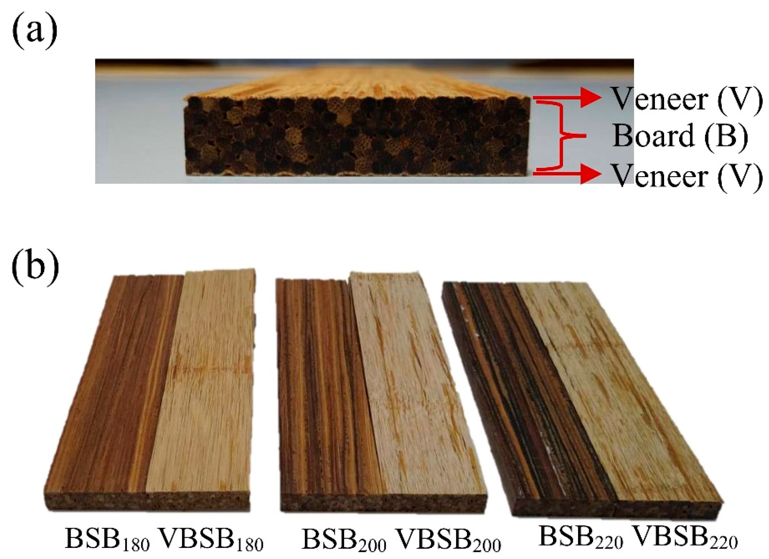 Polymers 14 00560 g002 Polymers 14 00560 g002
