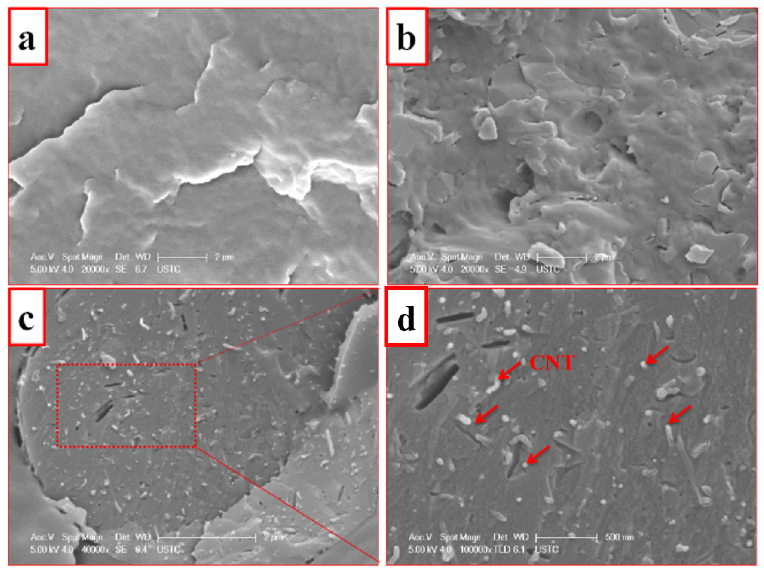 Polymers 14 00565 g003