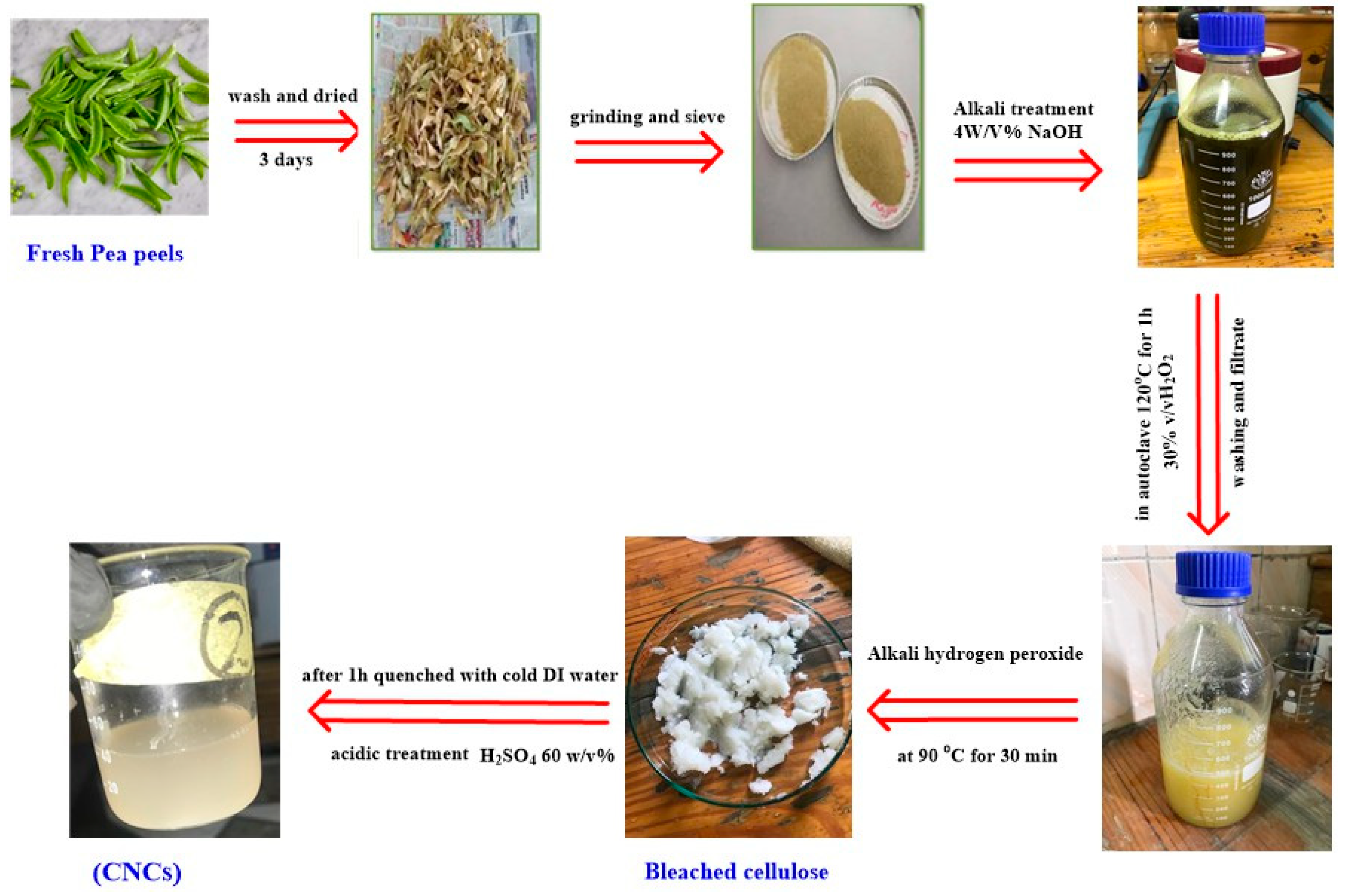 Polymers 14 00567 g001