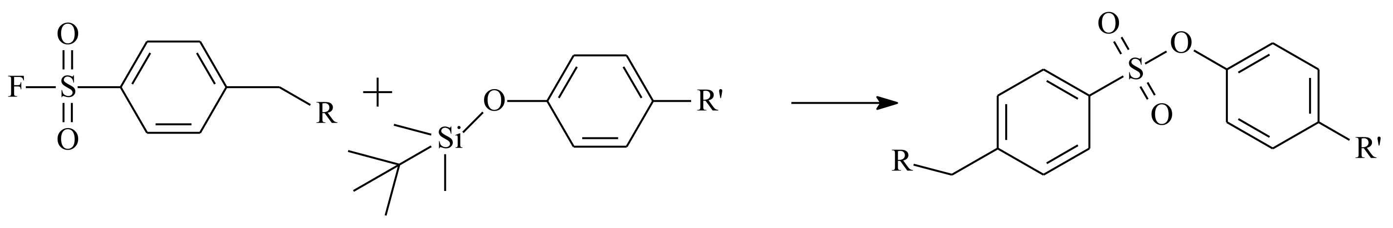 Polymers 14 00570 sch006