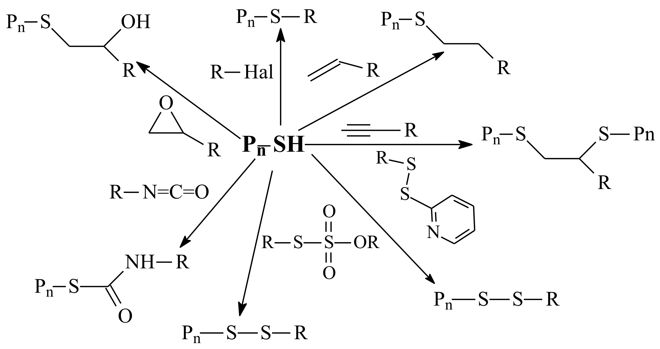Polymers 14 00570 sch013