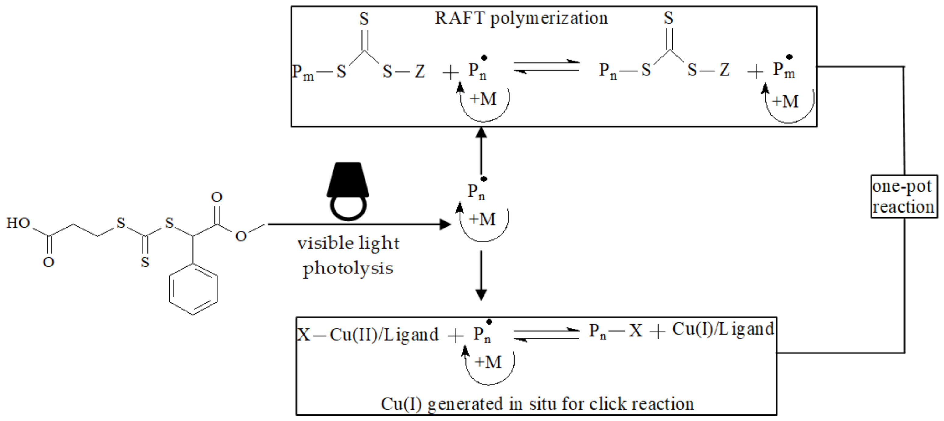 Polymers 14 00570 sch026