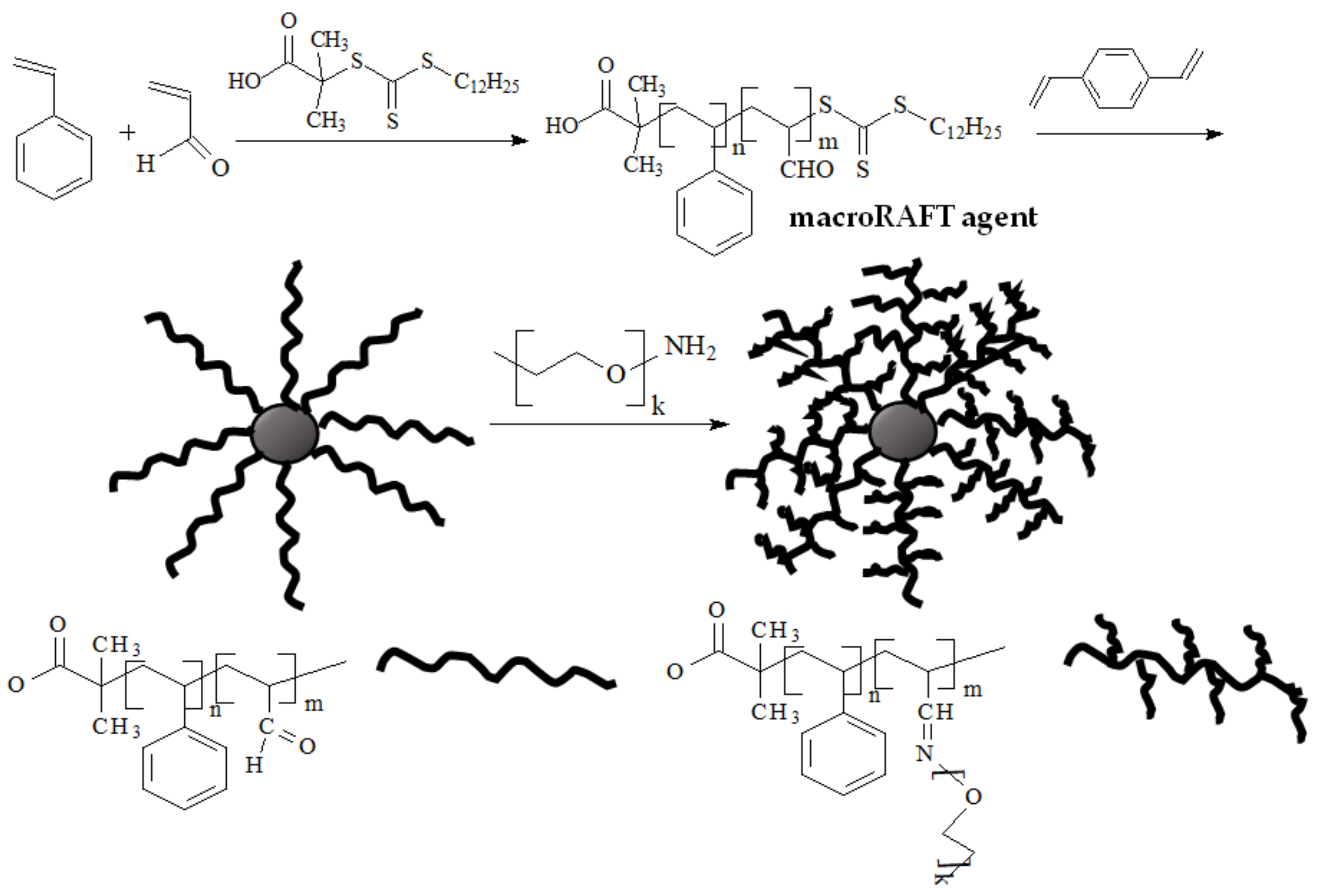 Polymers 14 00570 sch027