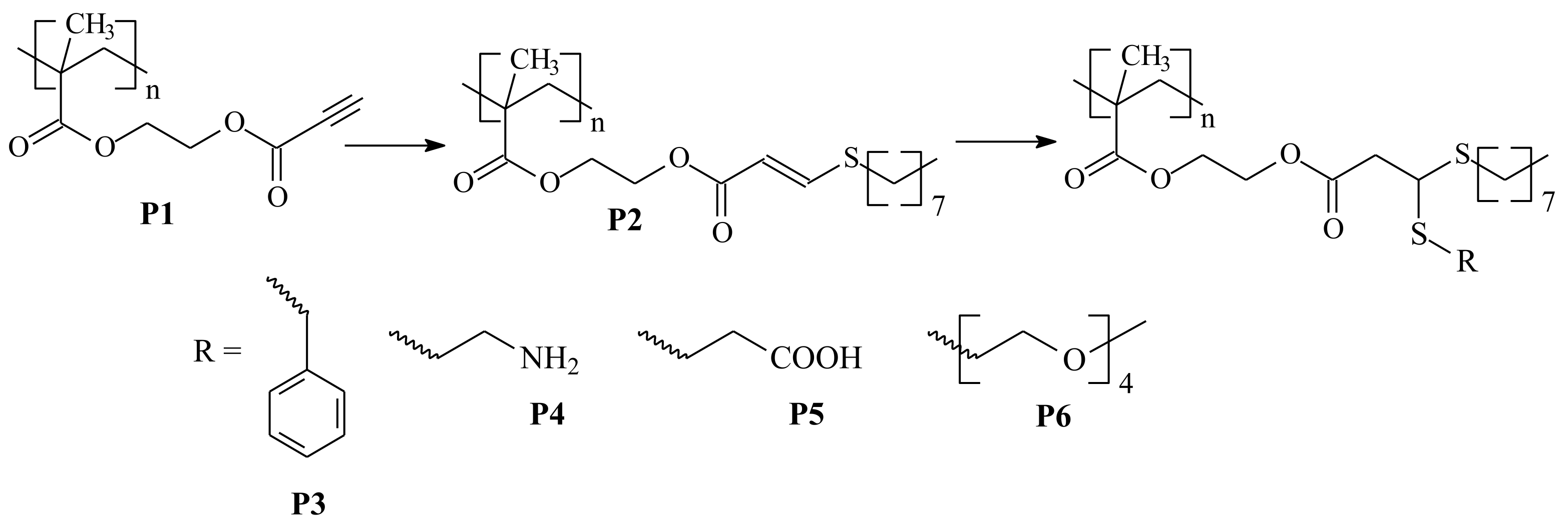 Polymers 14 00570 sch029