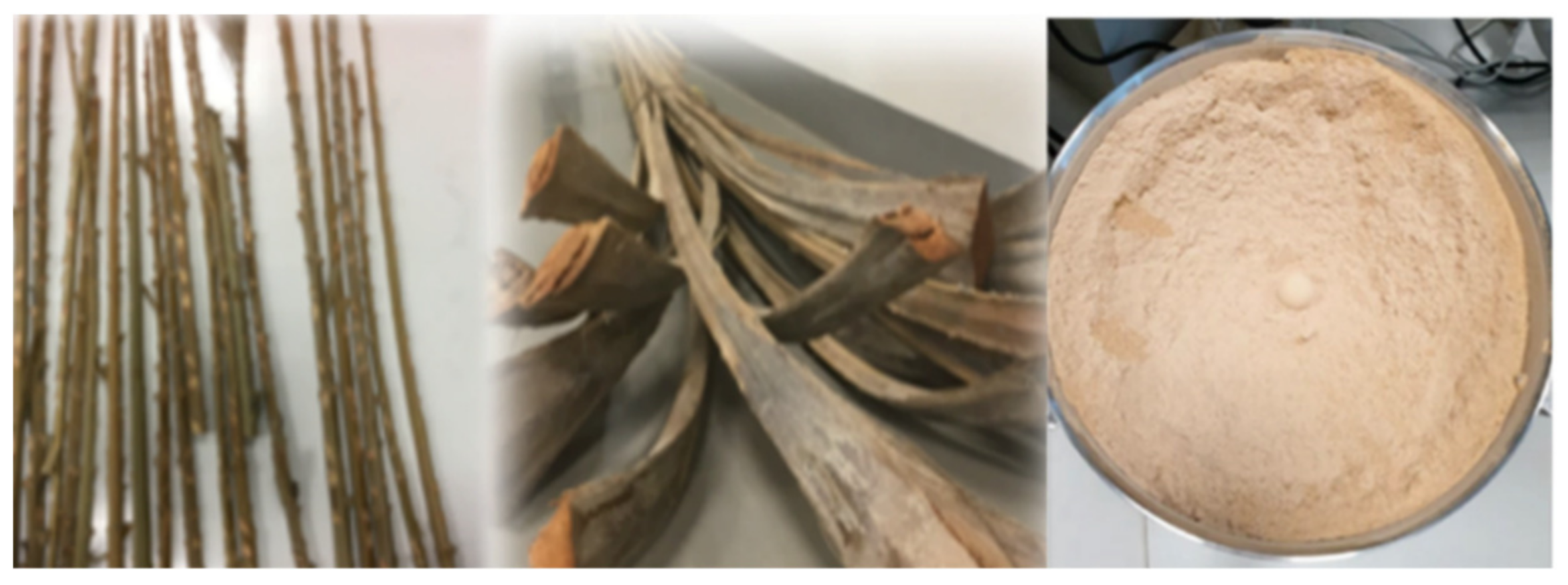 Polymers 14 00574 g002 550