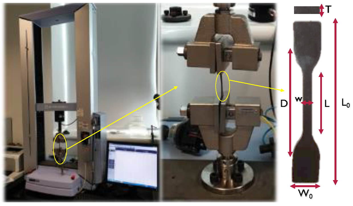 Polymers 14 00574 g004 550