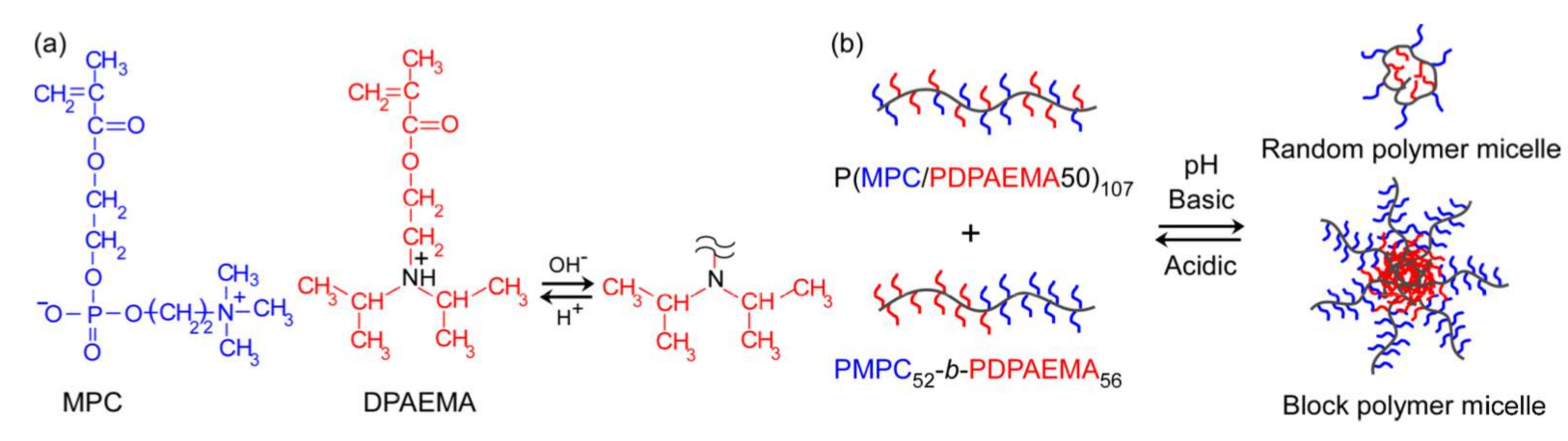 Polymers 14 00577 g001 550